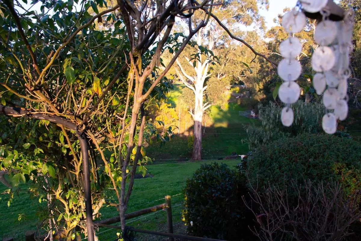Garden in Rosewood Park Guest Suite