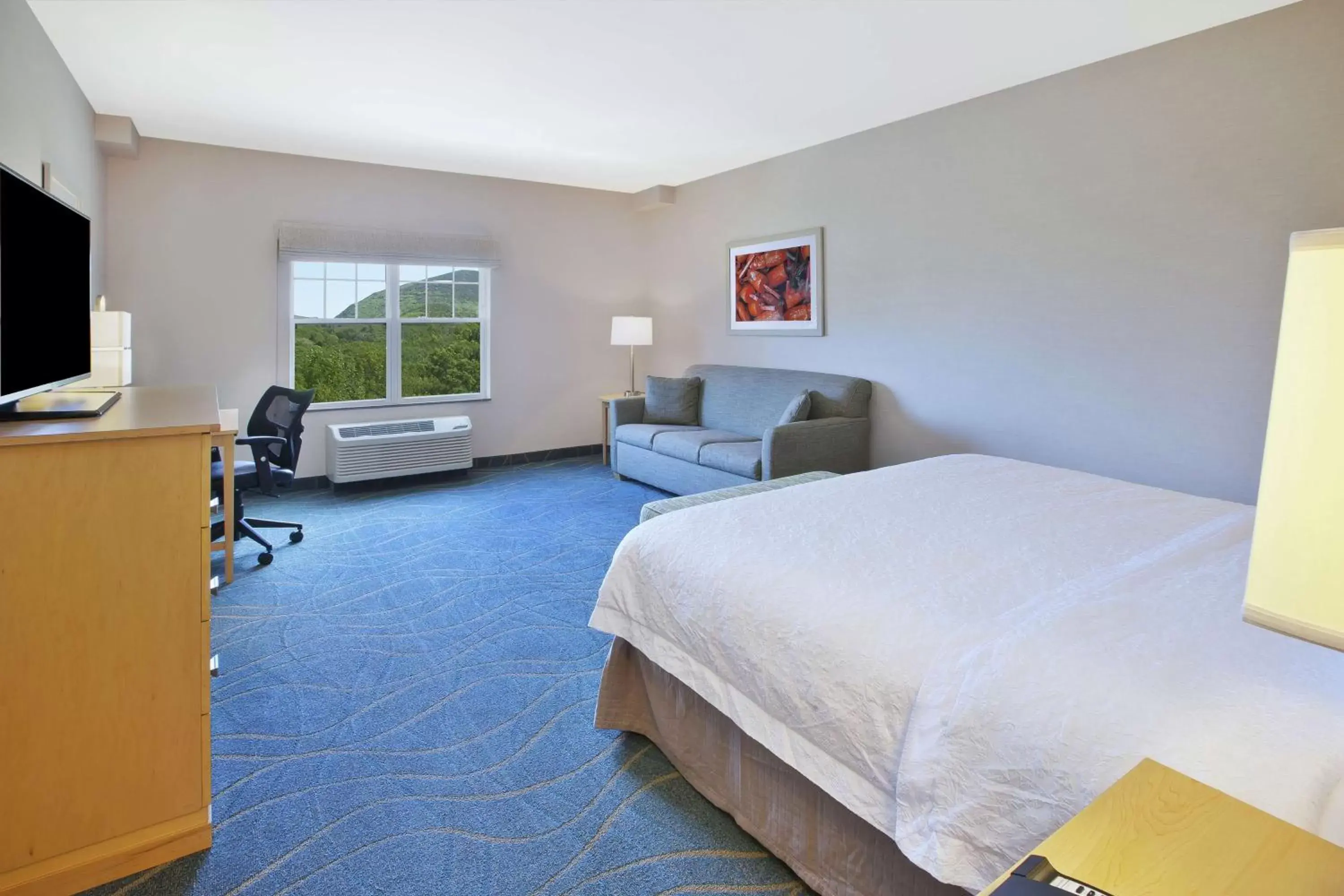 Bedroom in Hampton Inn By Hilton Bar Harbor