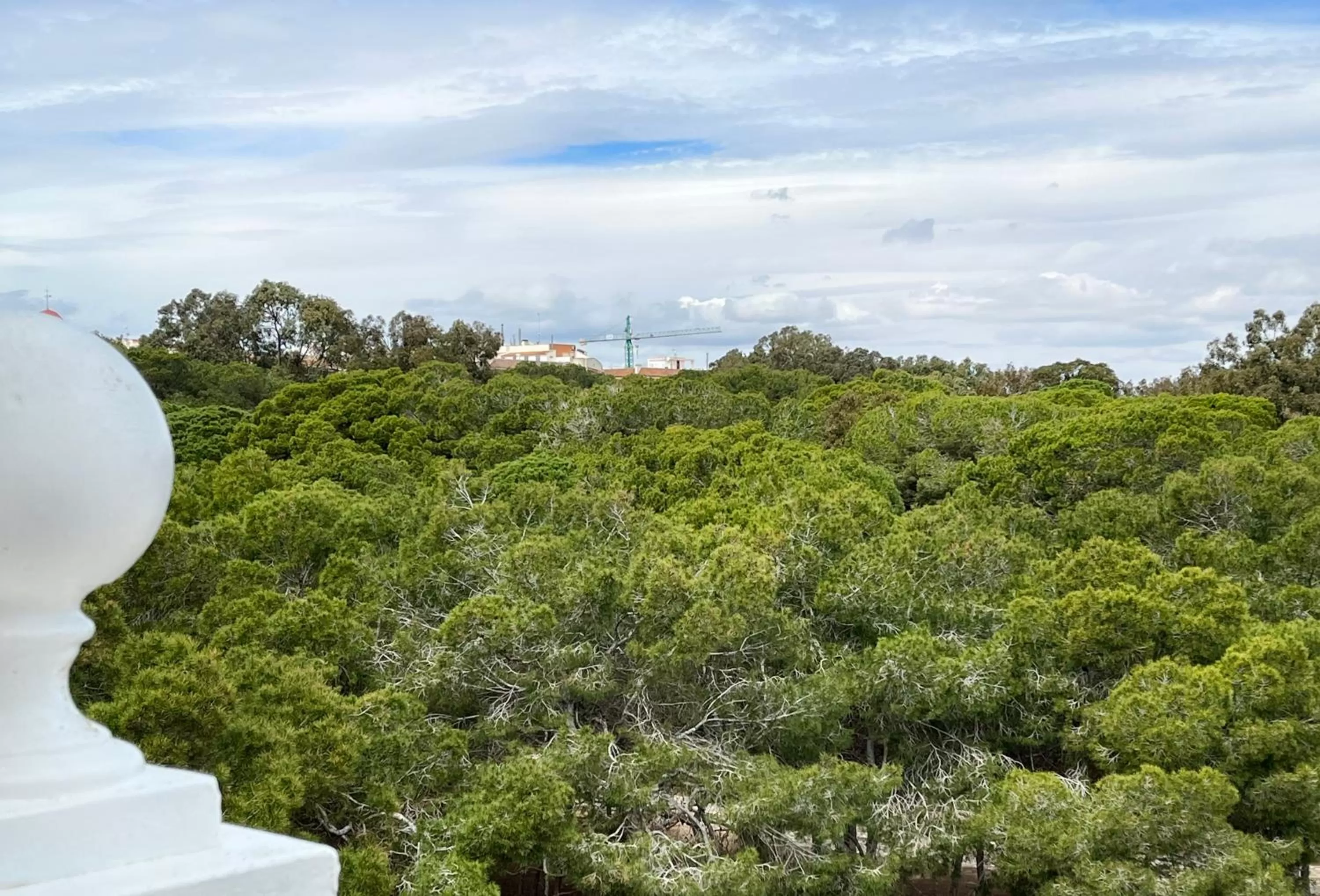 Off site in Hotel ParqueMar