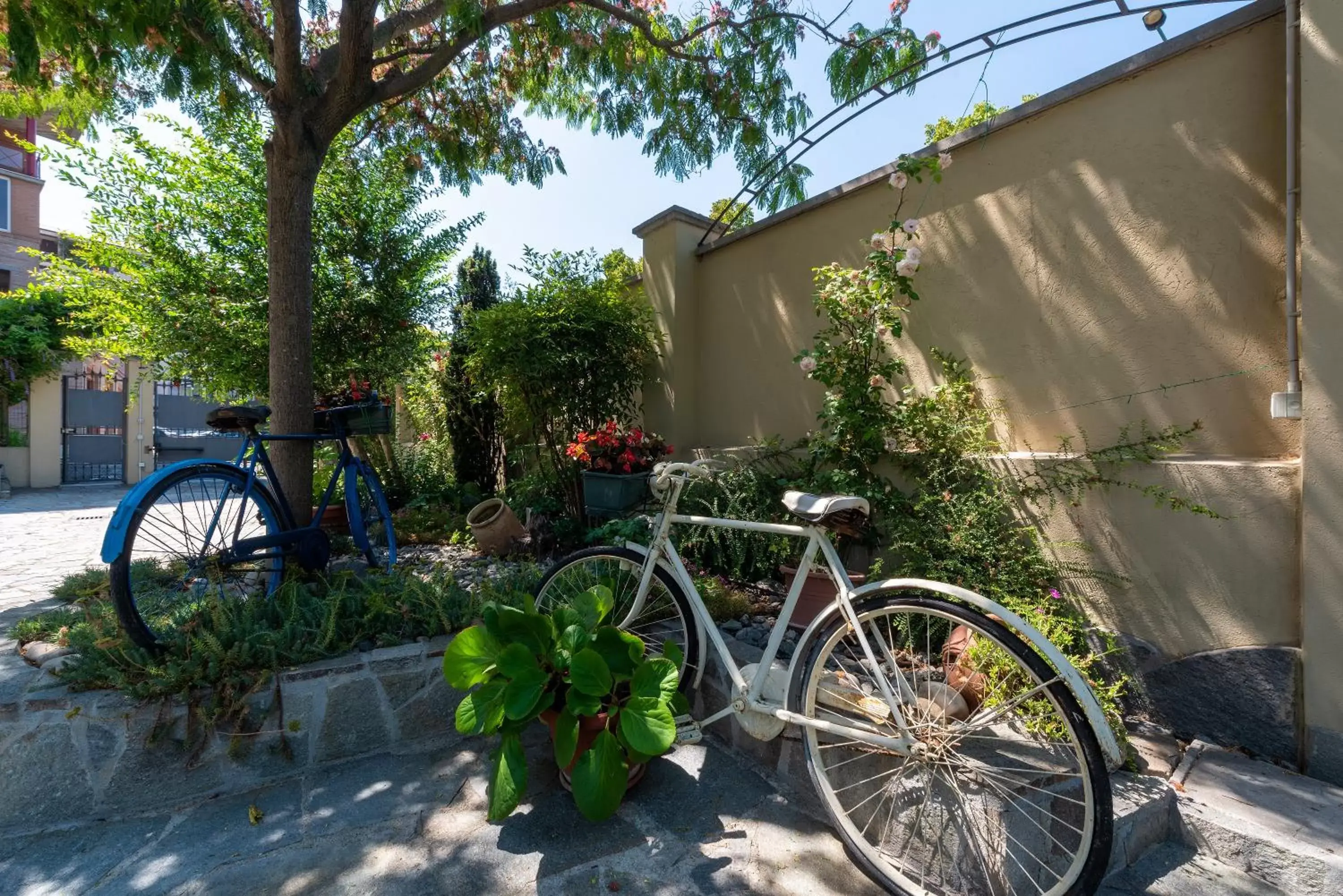 Garden, Biking in Villa Mery