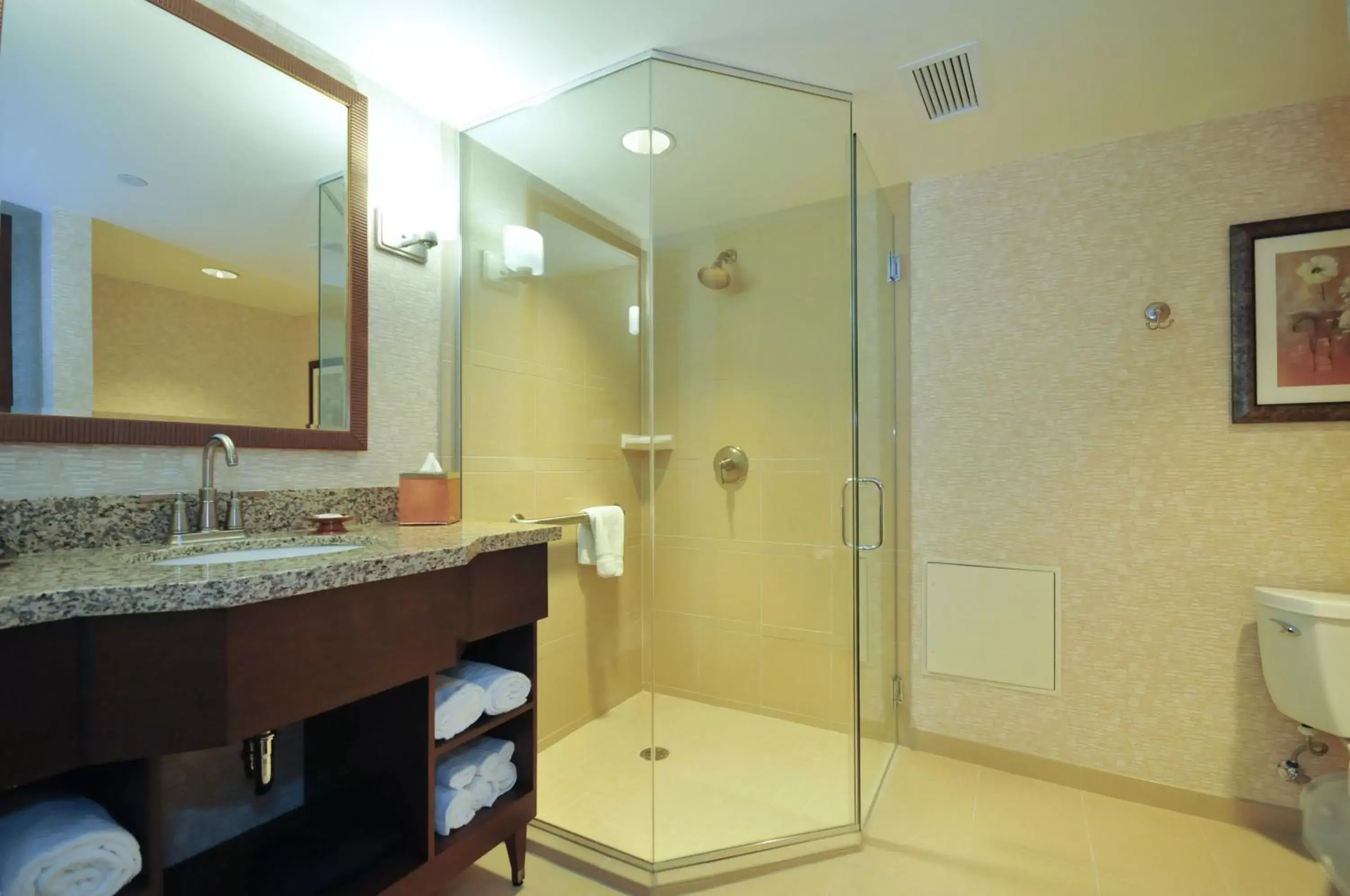 Shower, Bathroom in Kahler Grand Hotel