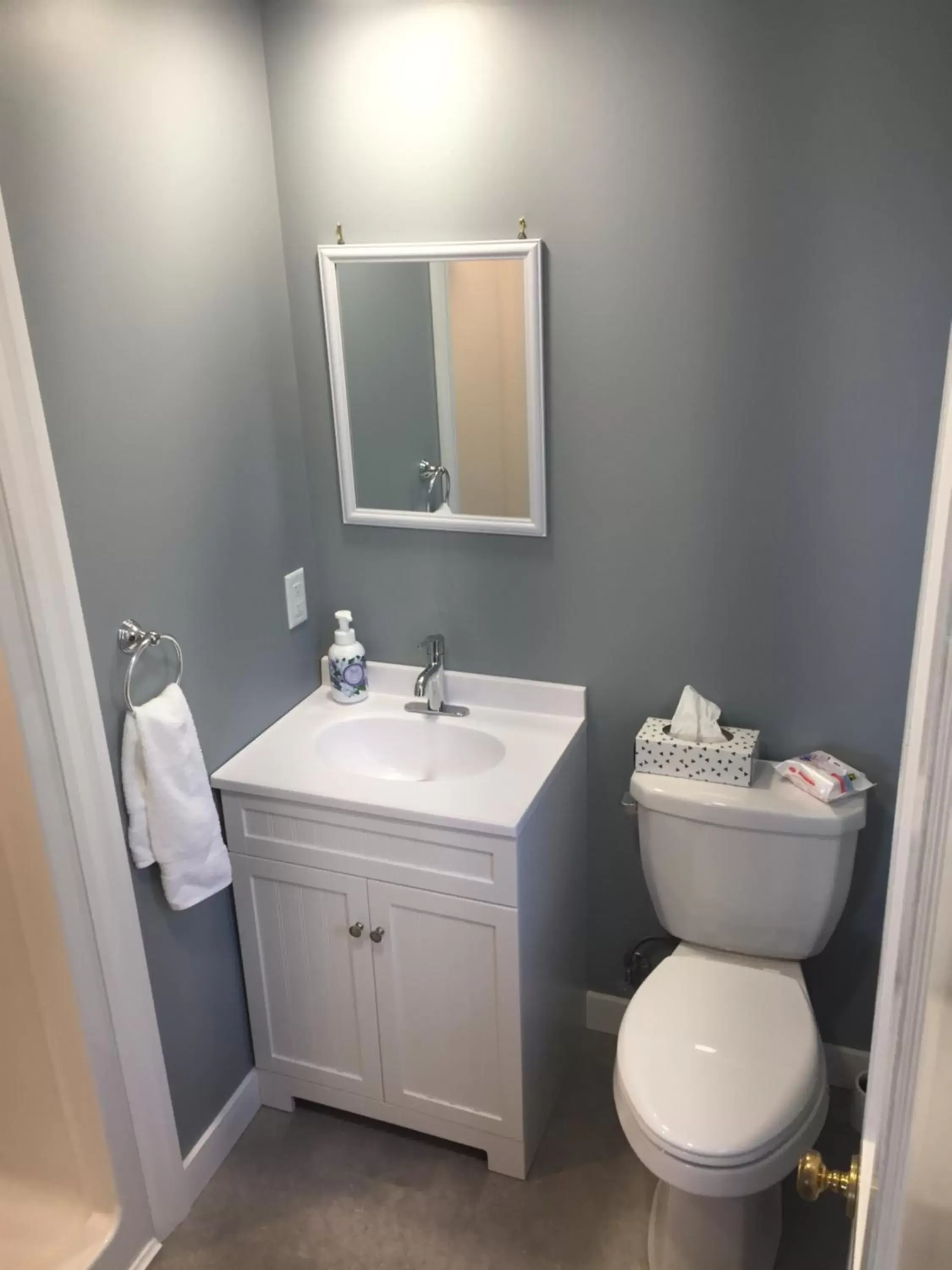 Toilet, Bathroom in Abide Within Bed & Breakfast