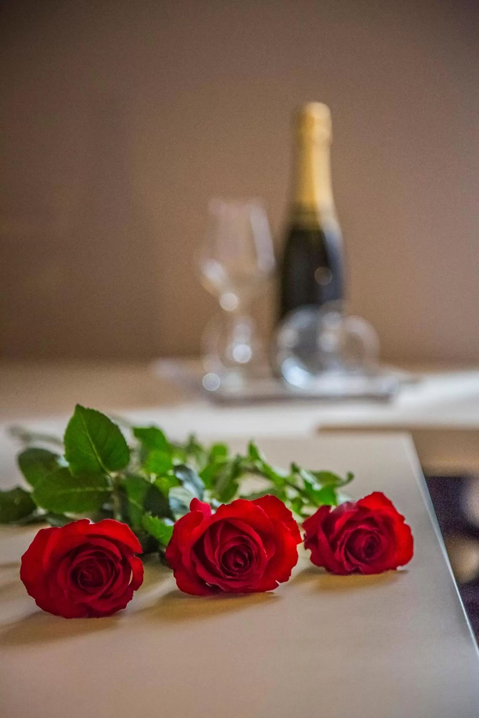 Photo of the whole room in New Design St.Peter