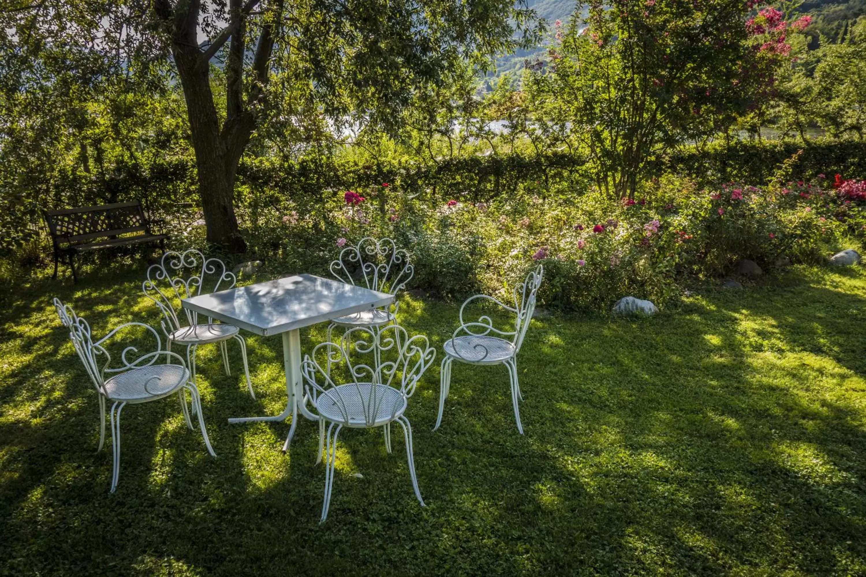 Garden view, Other Animals in Albergo La Romanella