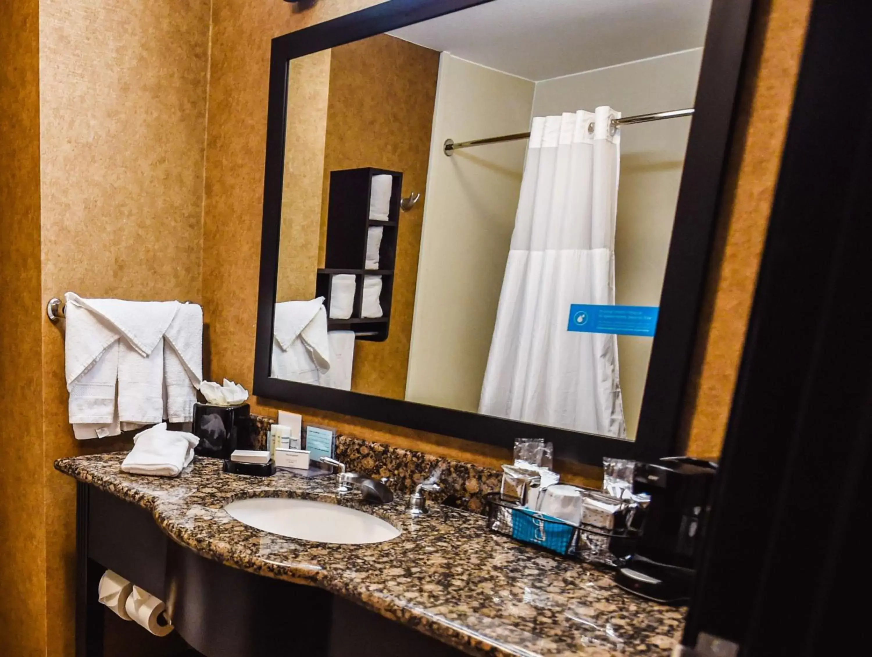 Bathroom in Hampton Inn & Suites Pine Bluff