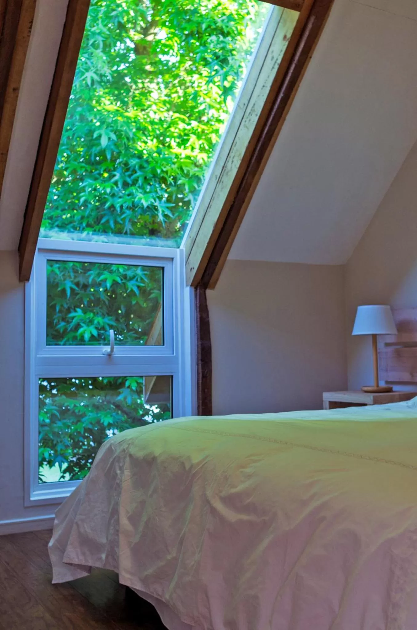 Bed in Family Orchard Bed & Breakfast