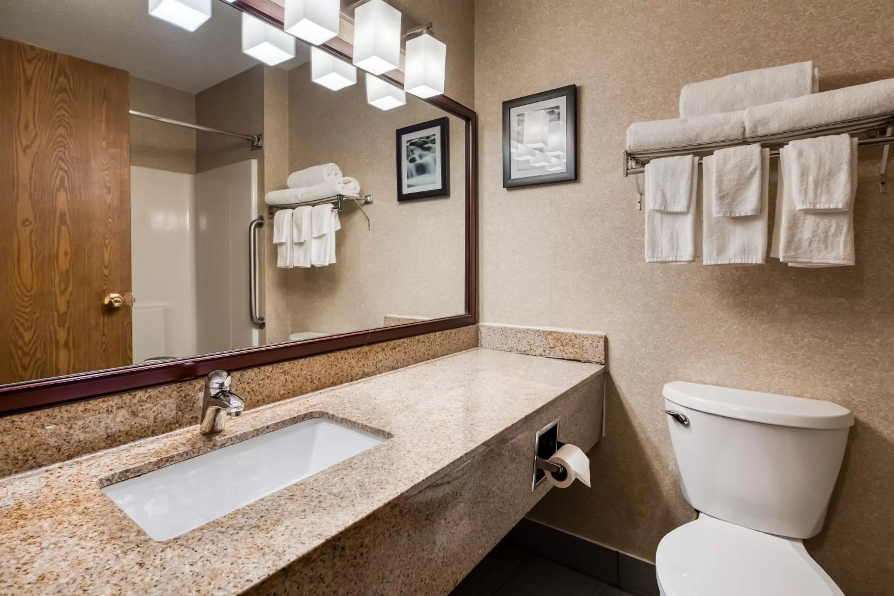 Bathroom in Quality Inn & Suites Springfield Southwest near I-72