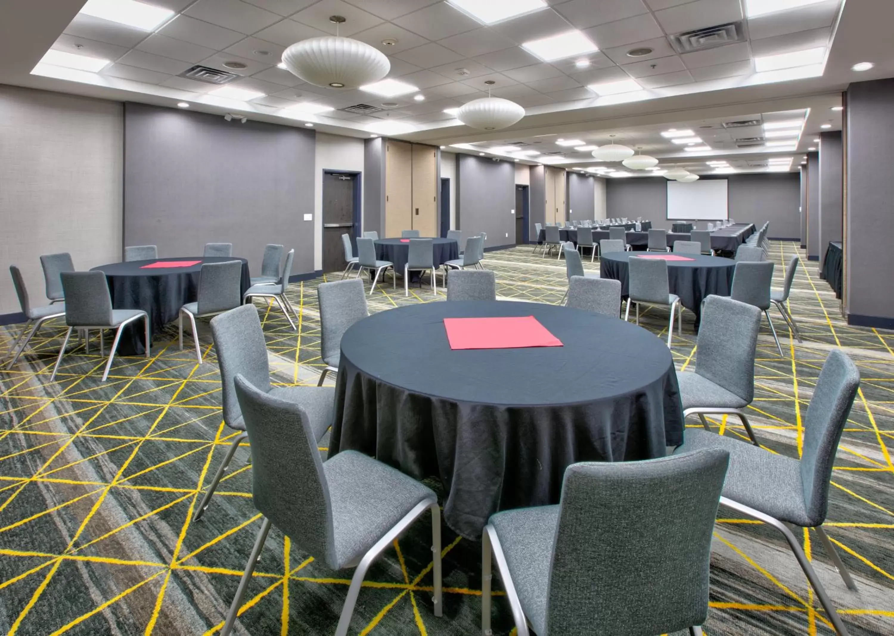 Banquet/Function facilities in Holiday Inn Dallas - Fort Worth Airport South, an IHG Hotel