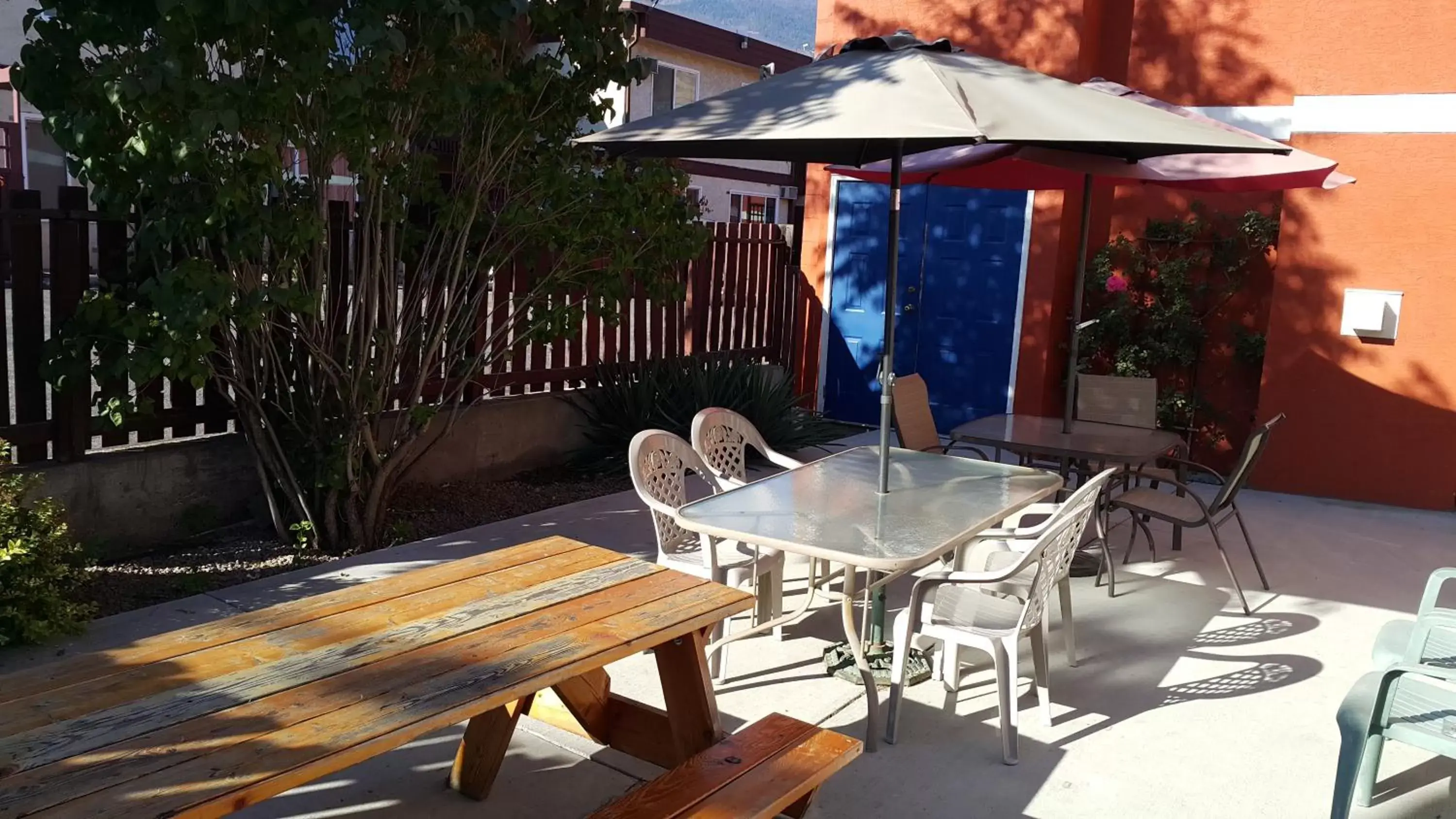 Patio, Patio/Outdoor Area in Cactus Tree Inn