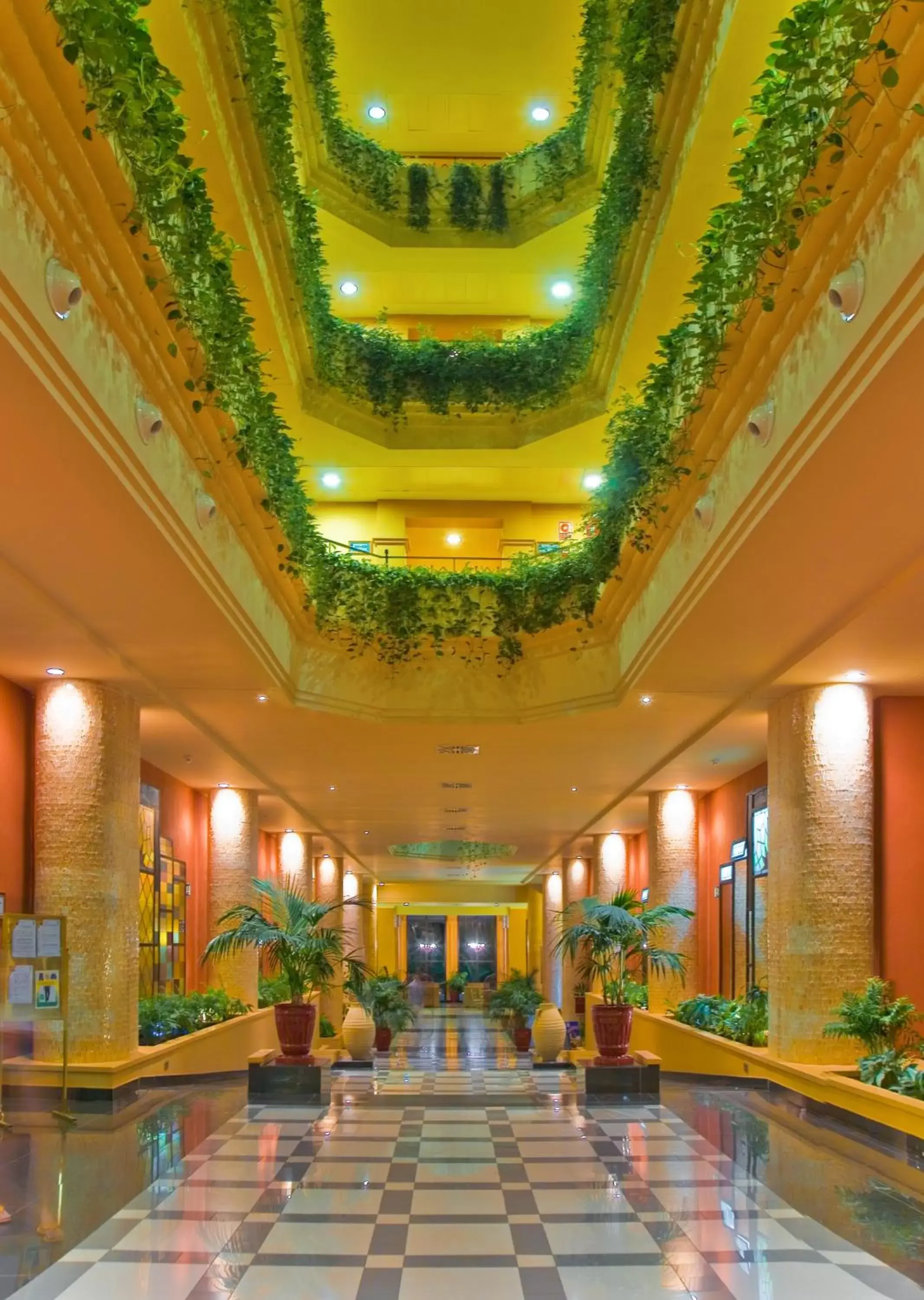 Area and facilities, Lobby/Reception in Playacanela Hotel