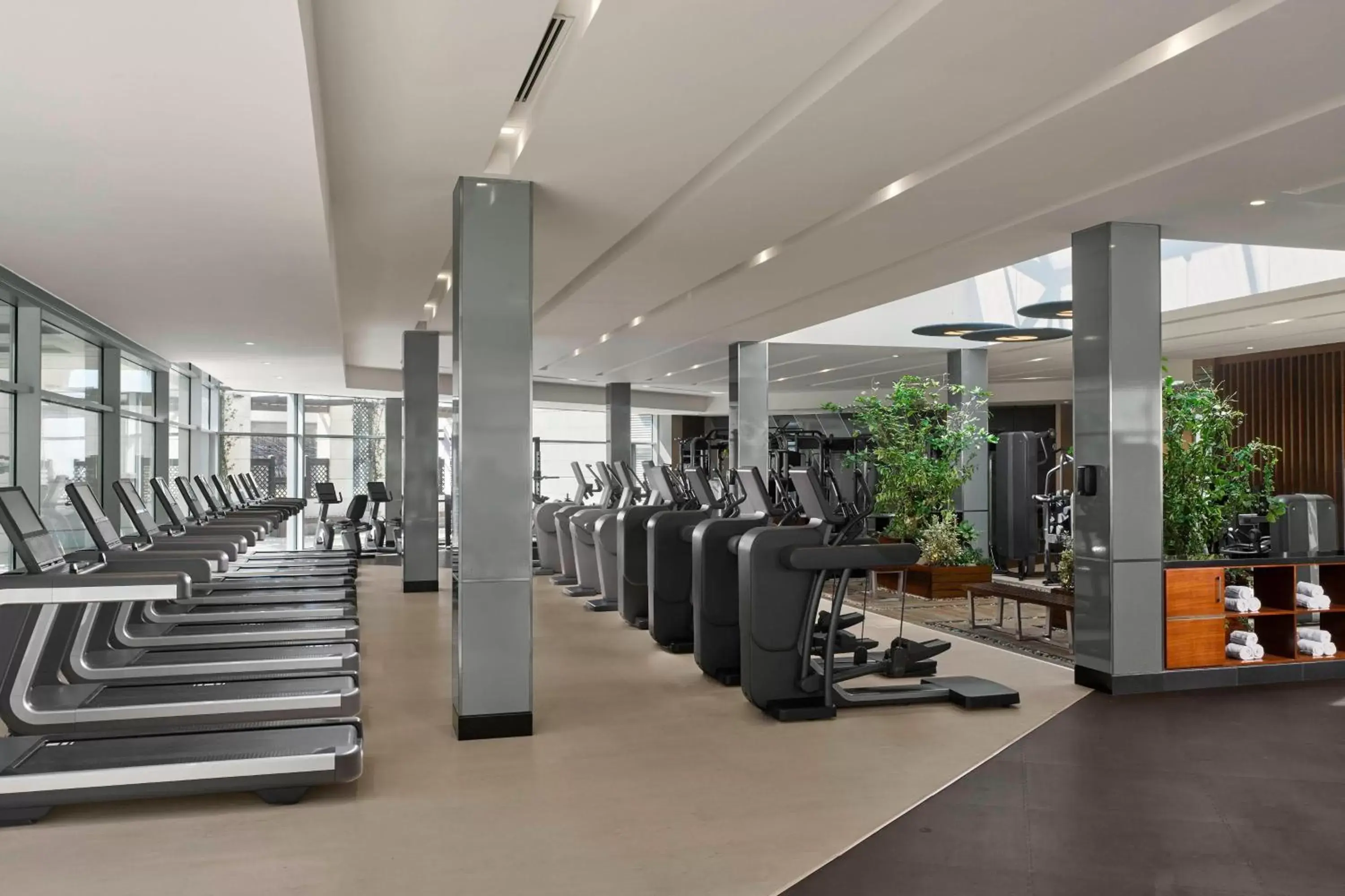 Fitness centre/facilities, Fitness Center/Facilities in Sheraton Amman Al Nabil Hotel