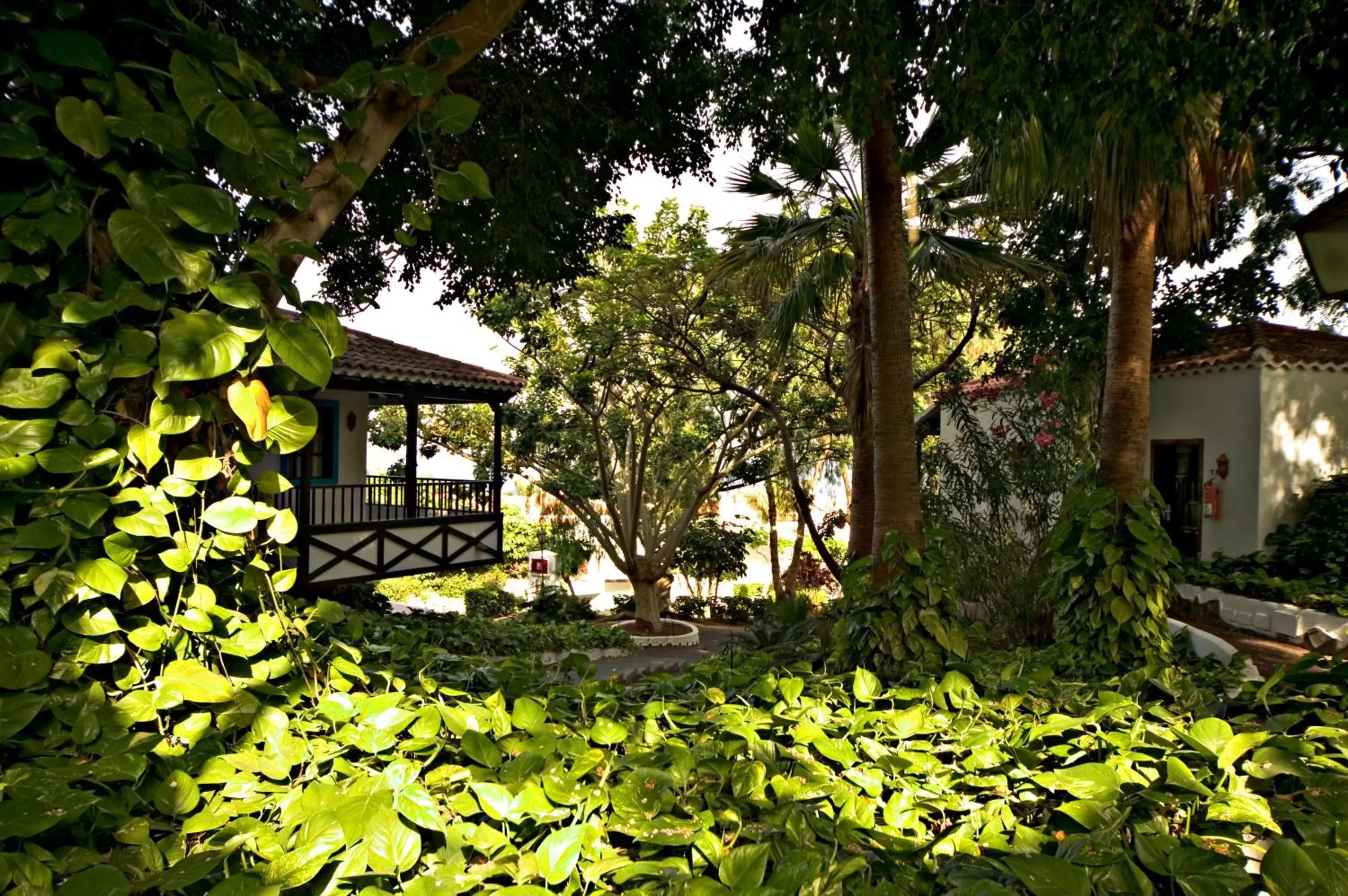 Garden view, Property Building in Hotel Jardín Tecina