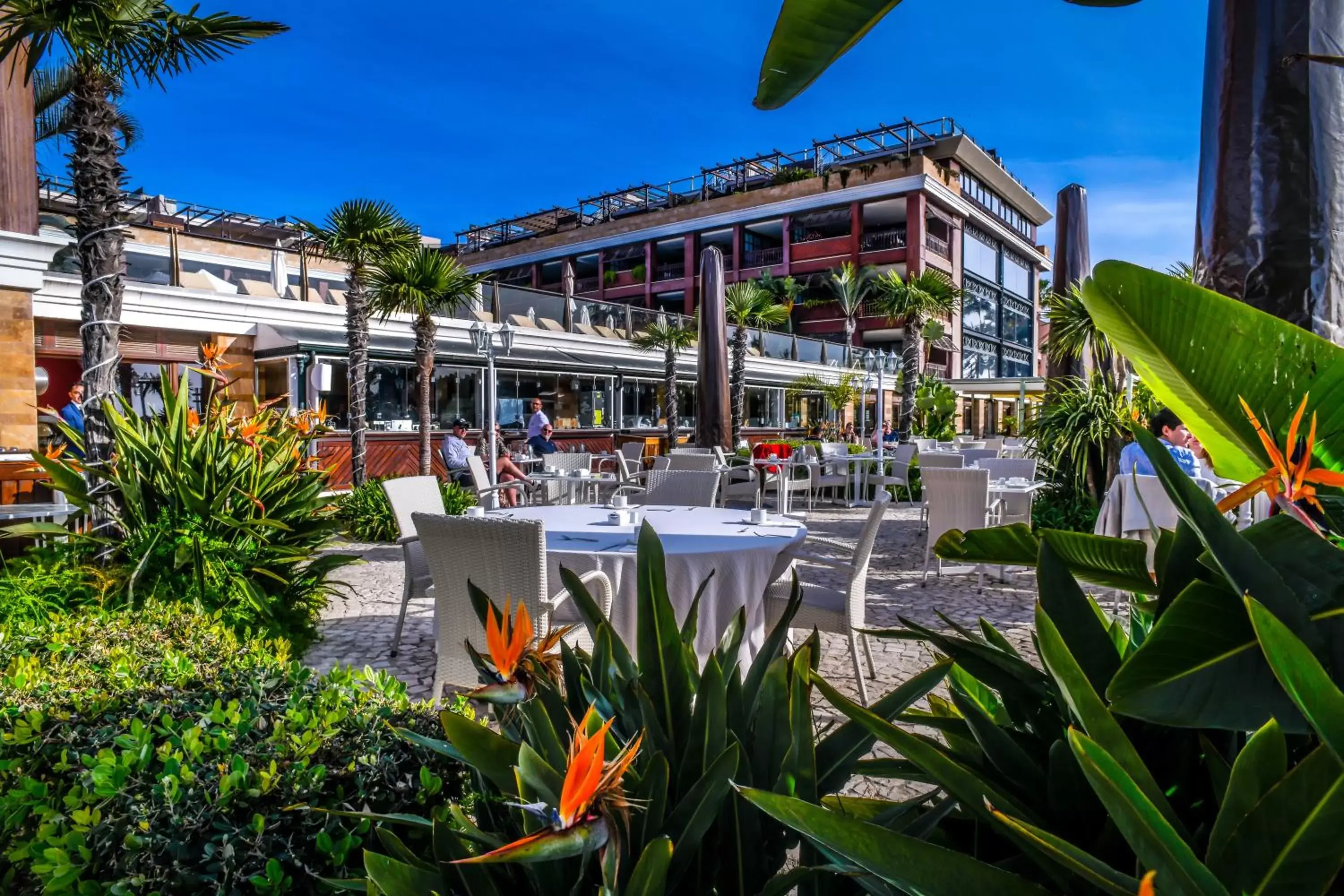 Patio, Restaurant/Places to Eat in Gran Hotel Guadalpín Banus