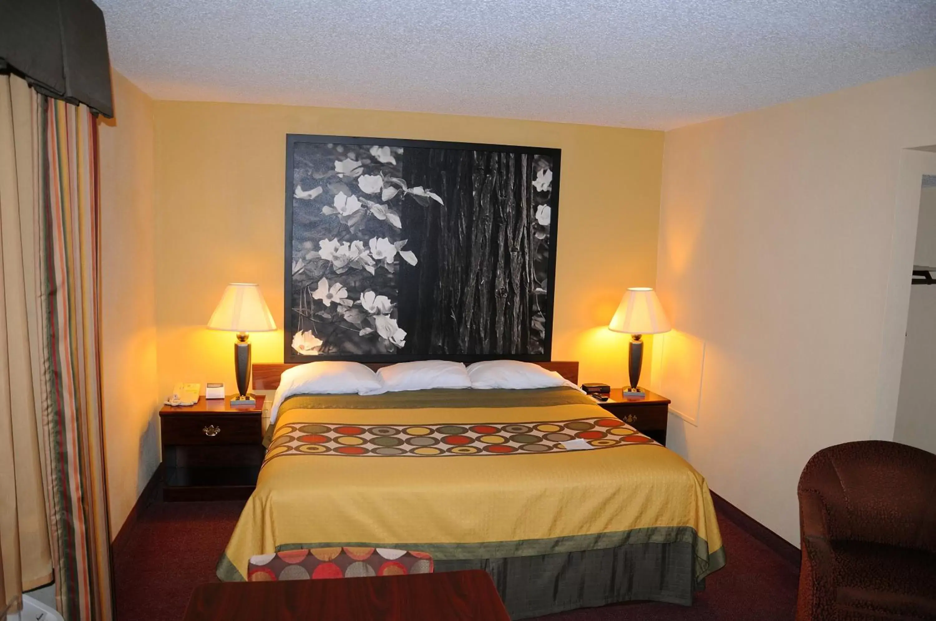 Other, Bed in Super 8 by Wyndham Lamar