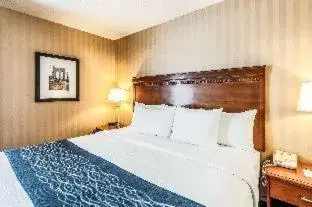 King Room - Non Smoking/Pet Friendly in Comfort Inn & Suites Alexandria West