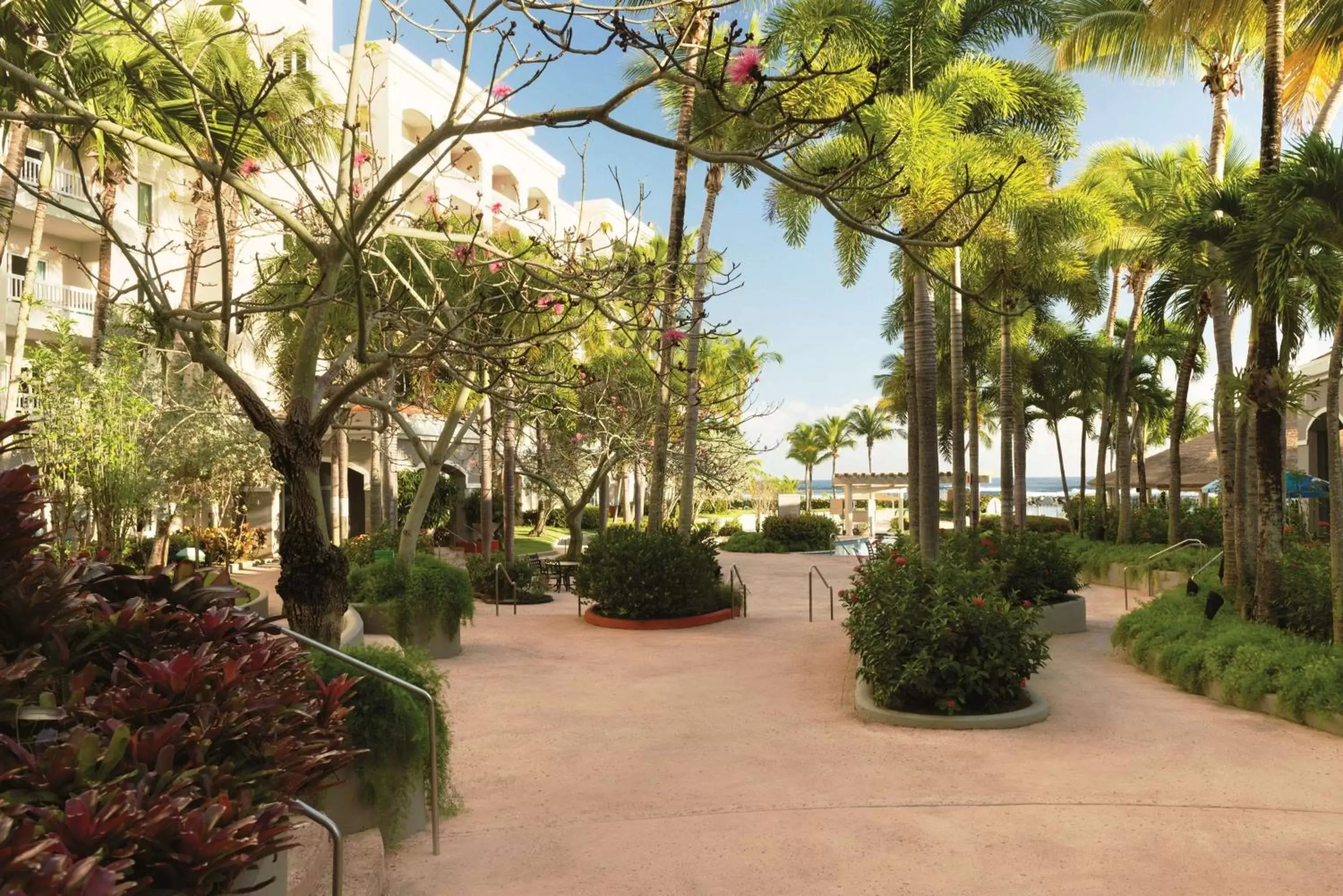 Property building, Garden in Embassy Suites by Hilton Dorado del Mar Beach Resort