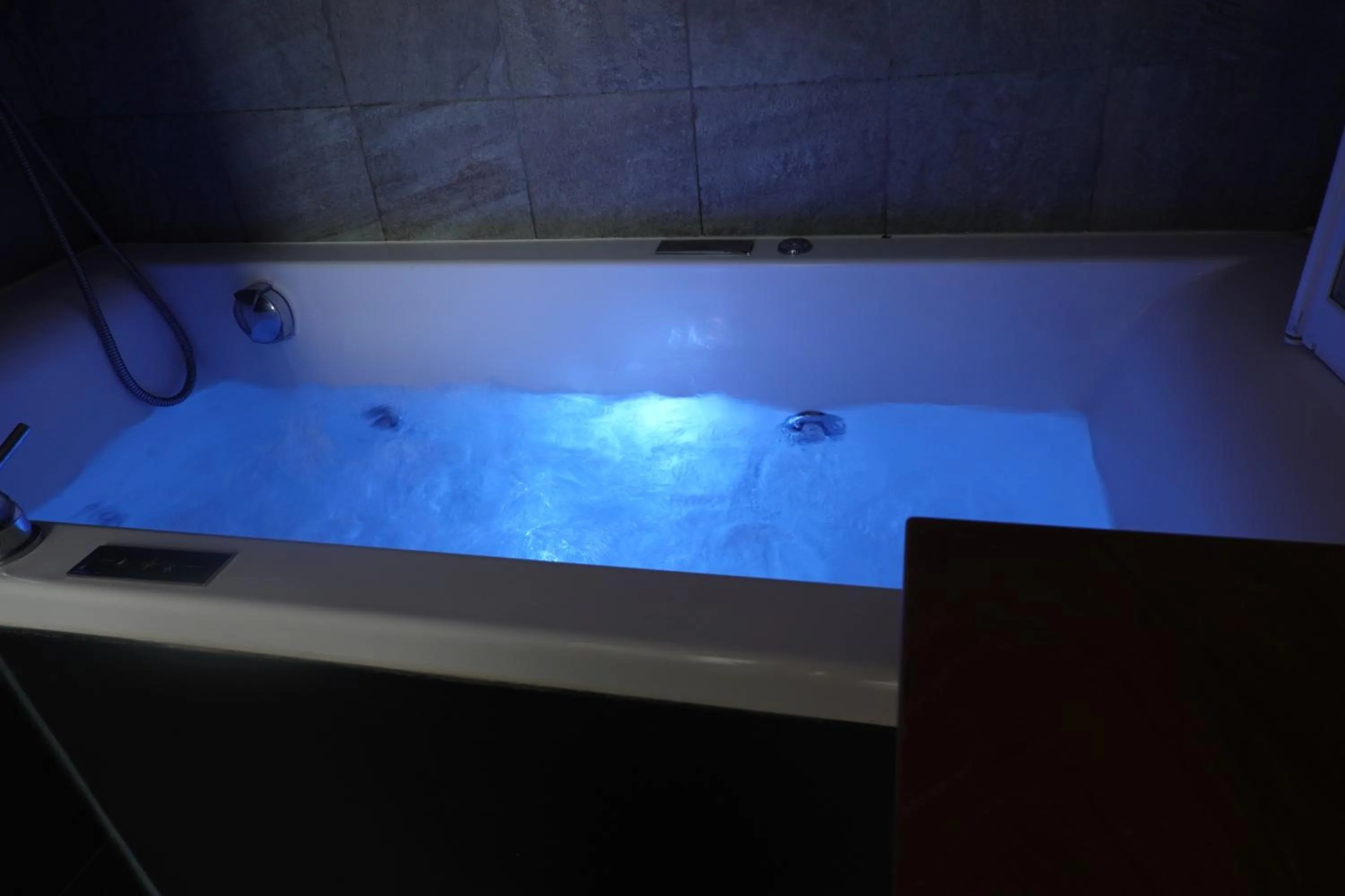 Deluxe Double or Twin Room in Biocity