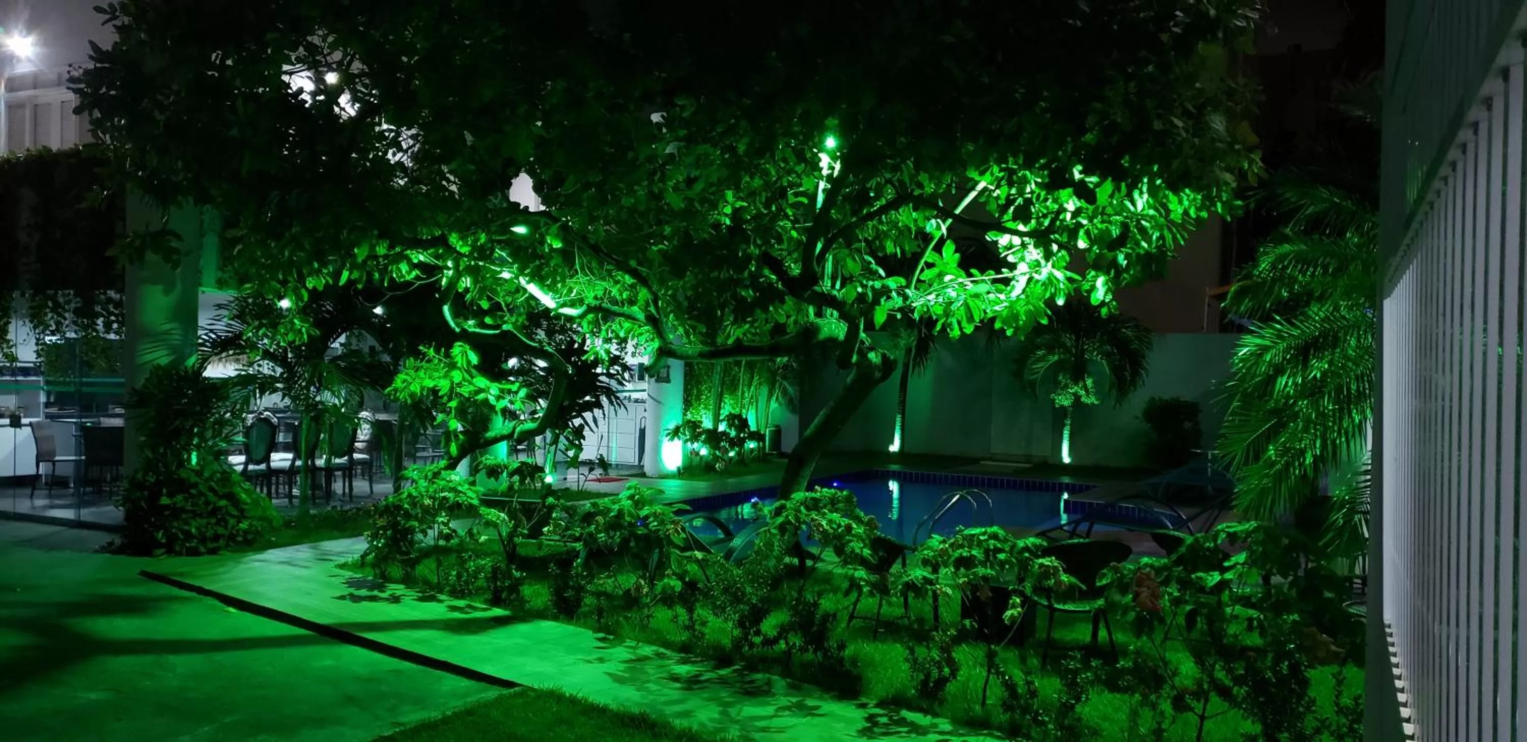 Garden in LIVE IN FORTALEZA HOTEL