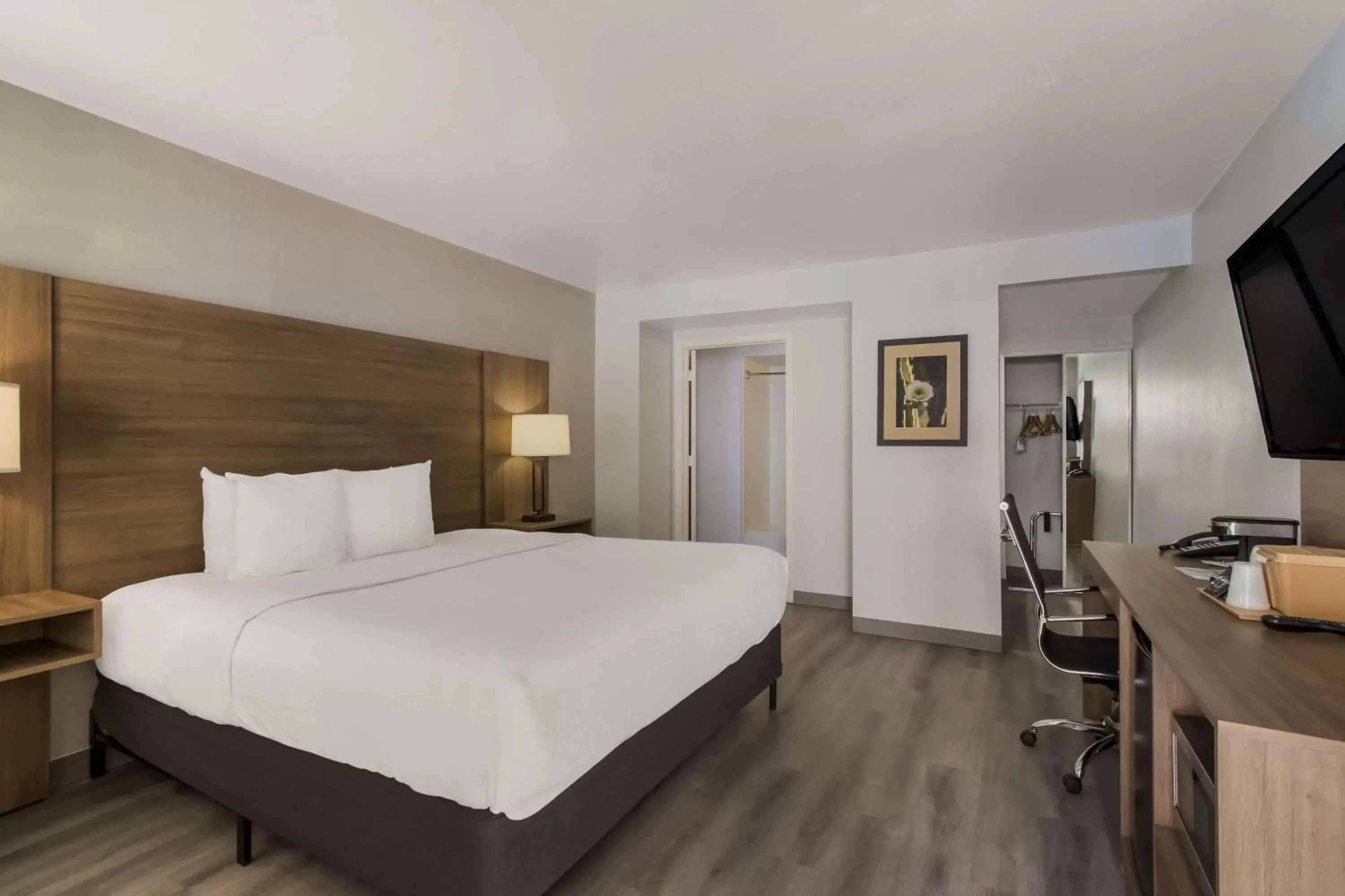 Bedroom in SureStay Plus Hotel by Best Western Tempe University