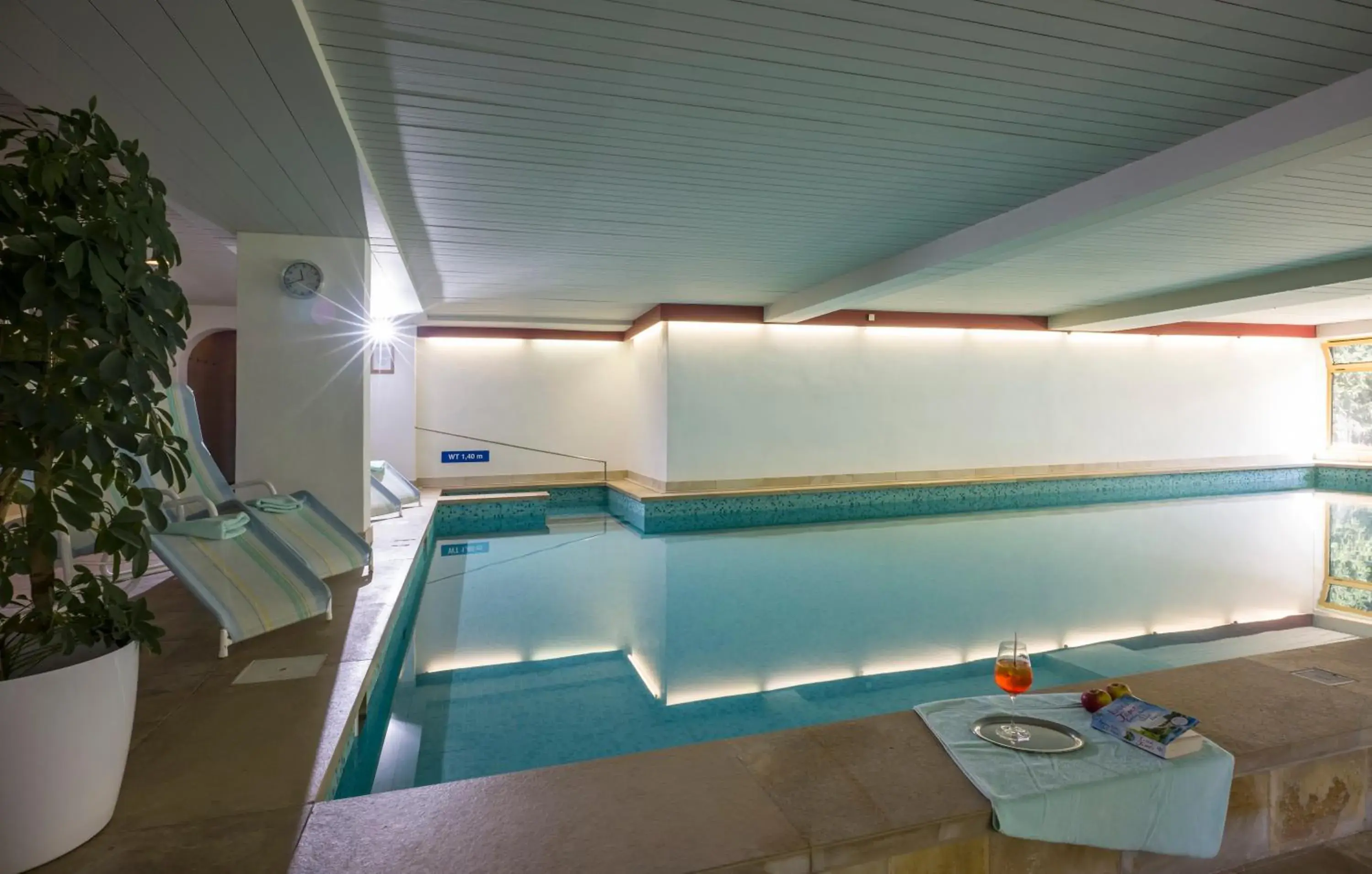 Spa and wellness centre/facilities, Swimming Pool in Sporthotel Austria