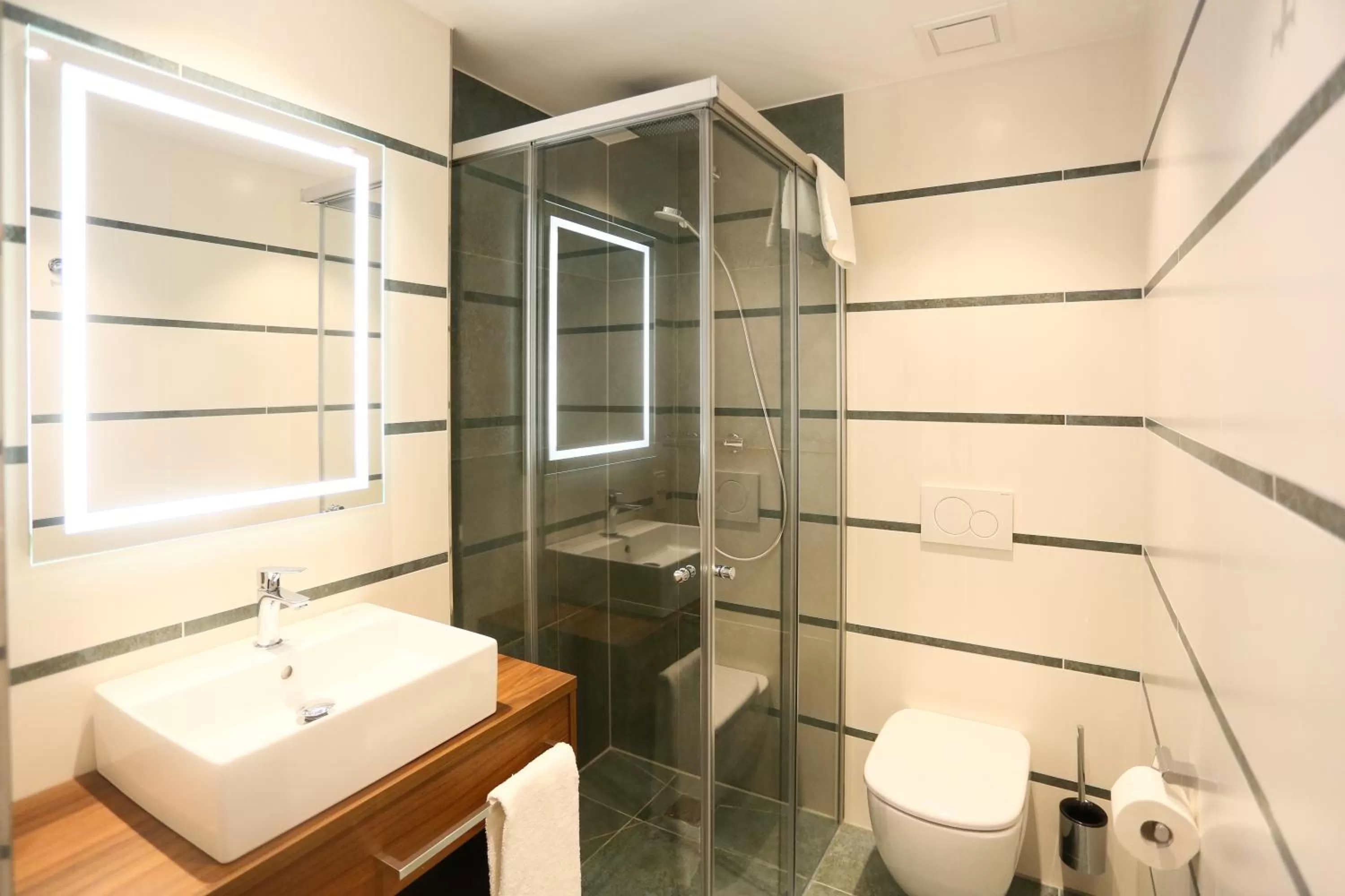 Bathroom in Hotel Lutz