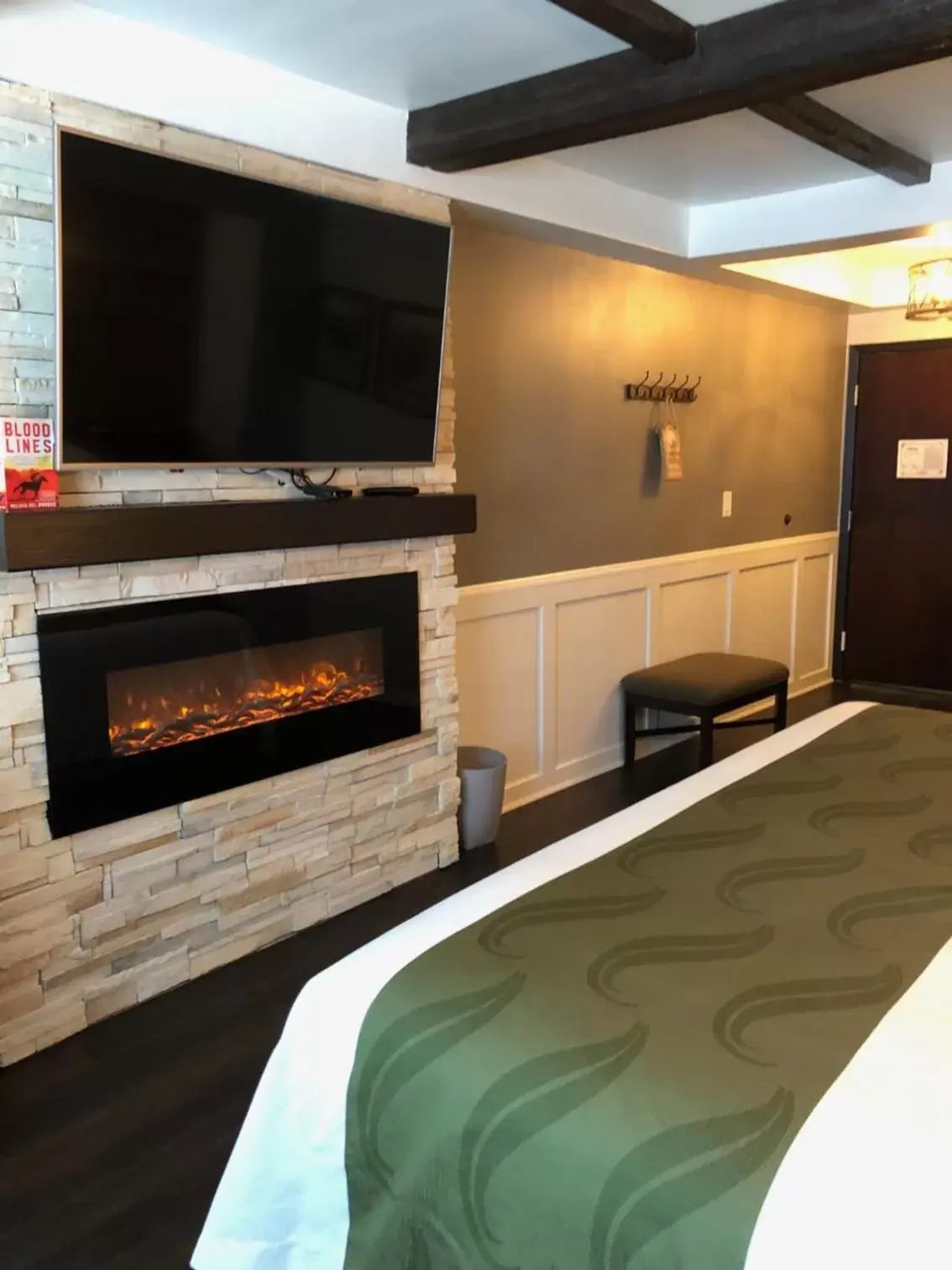 TV/Entertainment Center in Cedar Stables Inn & Suites