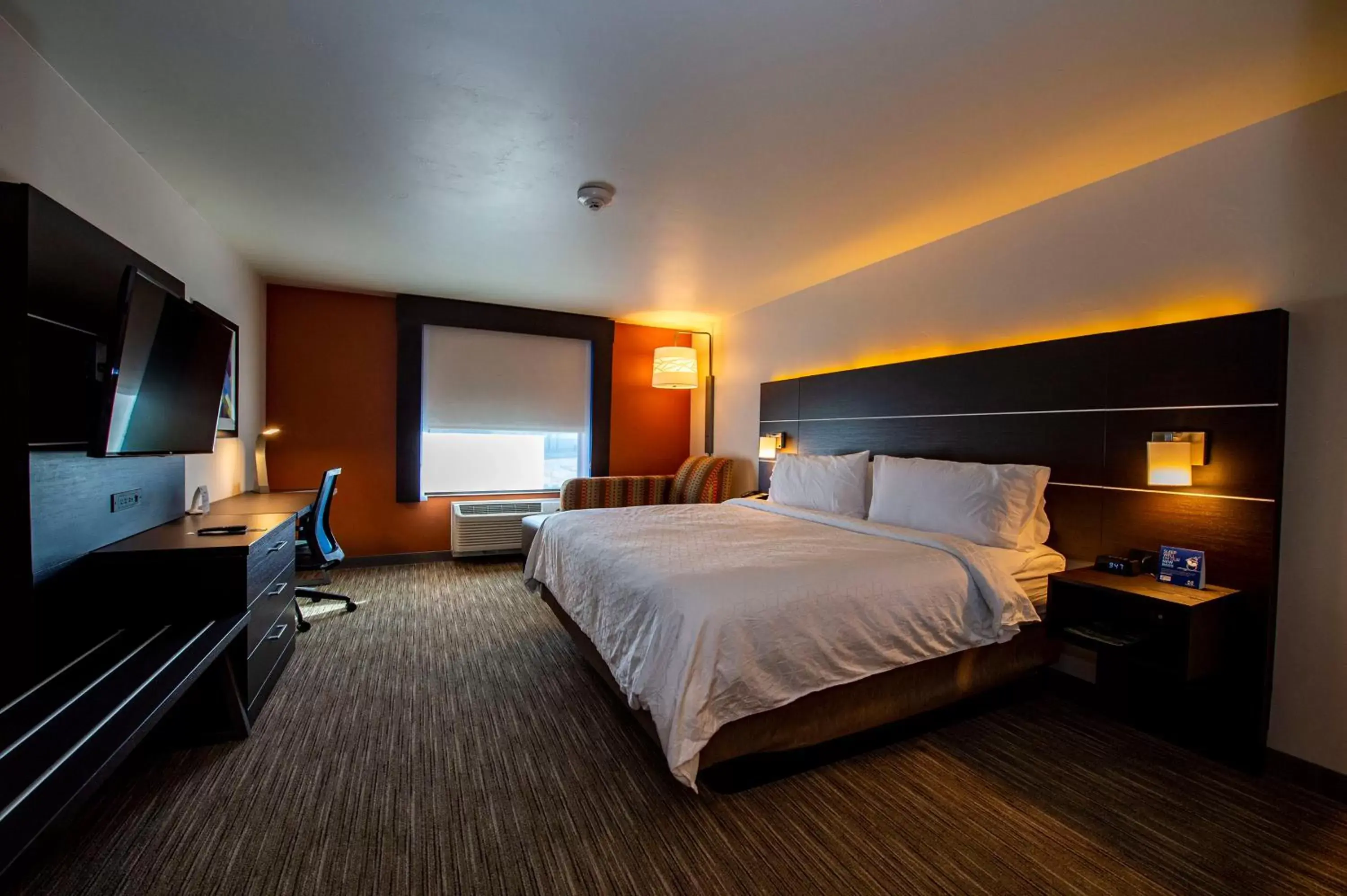 Photo of the whole room, Bed in Holiday Inn Express & Suites - Colorado Springs AFA Northgate, an IHG Hotel