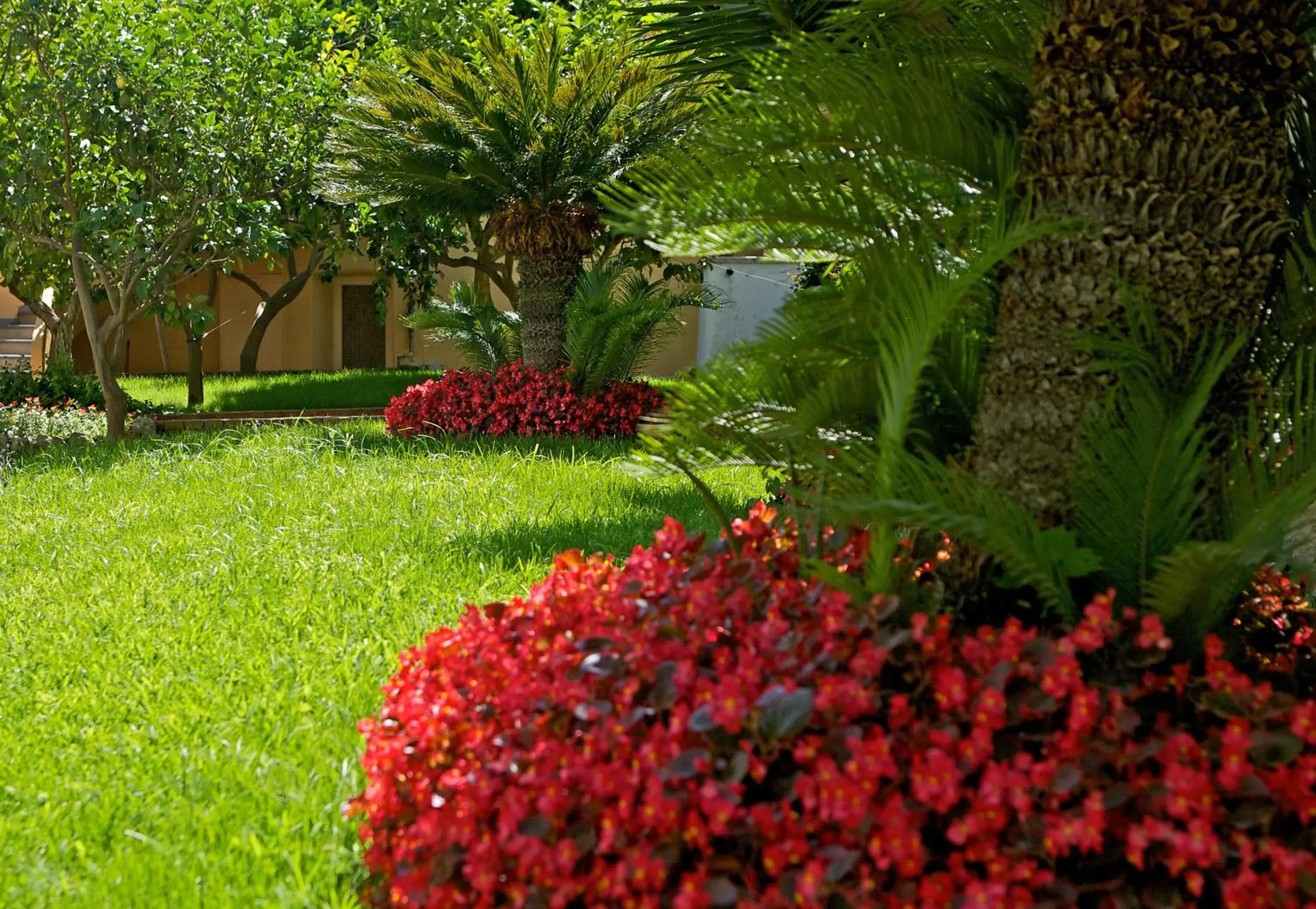 Garden in Hotel San Felice