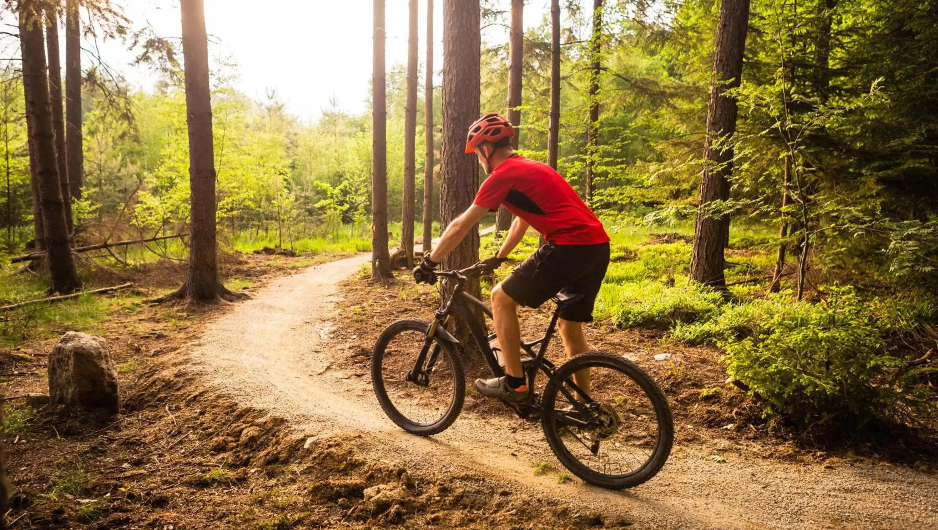 Cycling, Biking in North Creek Lodge at Gore Mountain