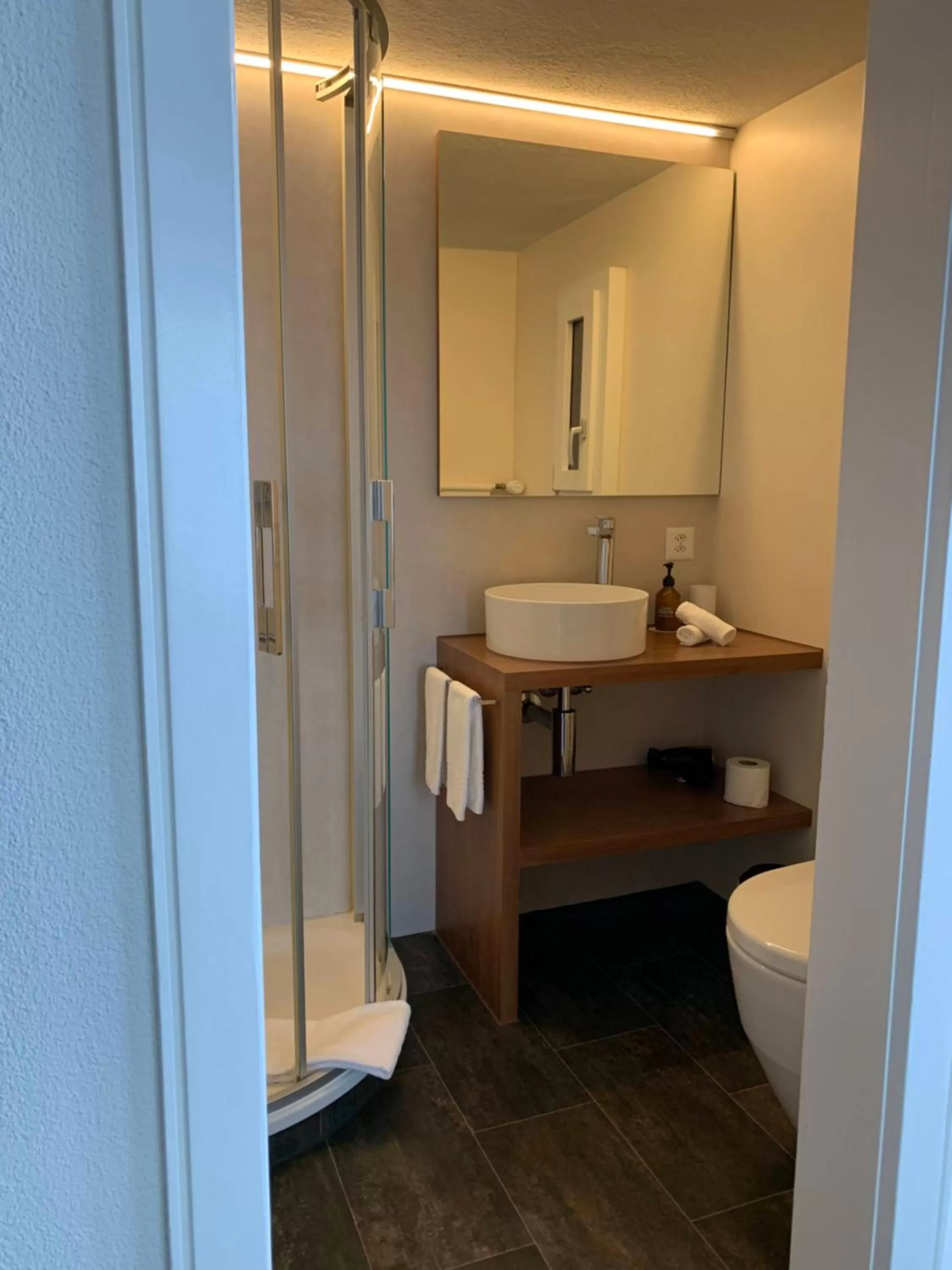 Shower, Bathroom in Hotel Friedheim