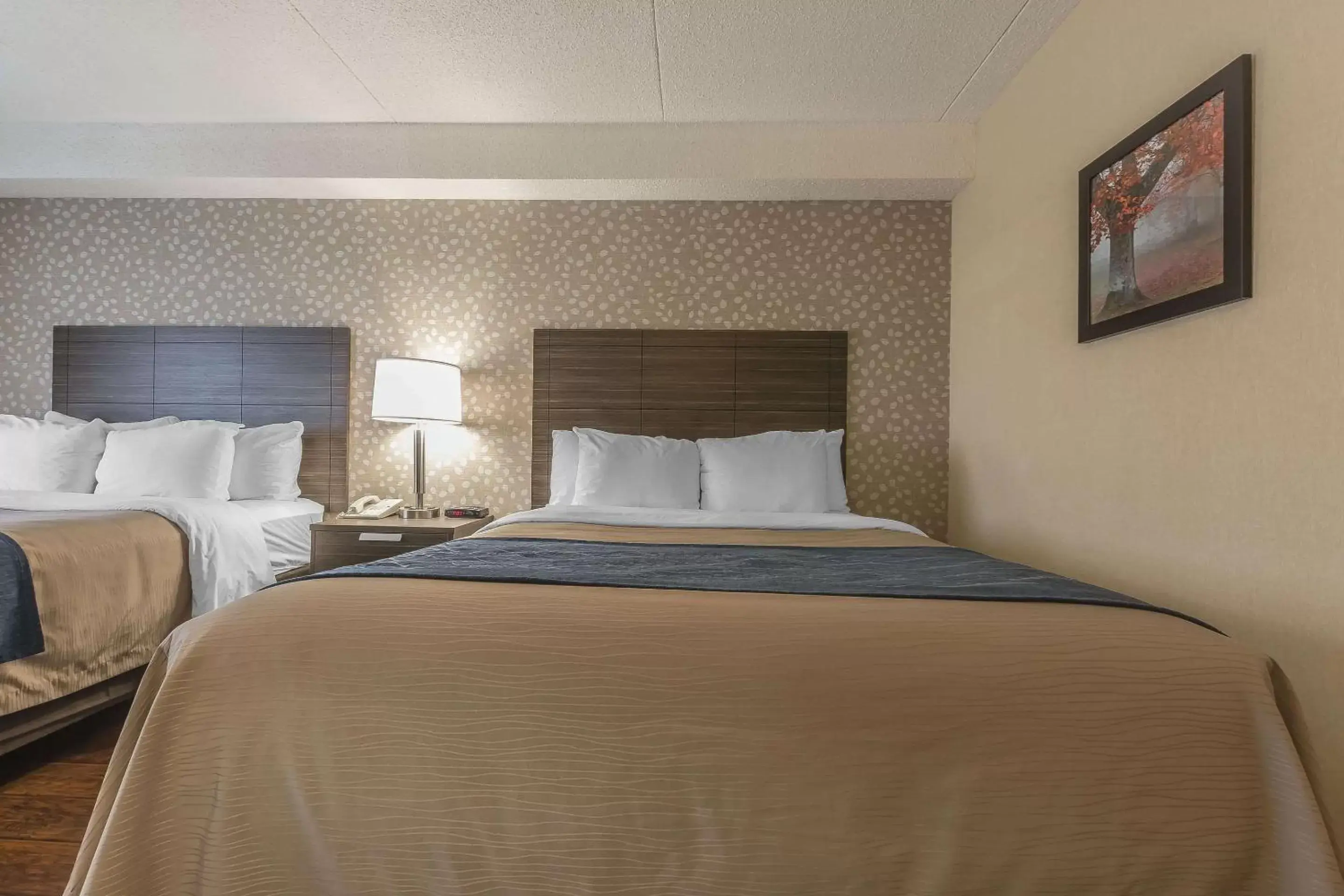 Photo of the whole room, Bed in Comfort Inn Levis