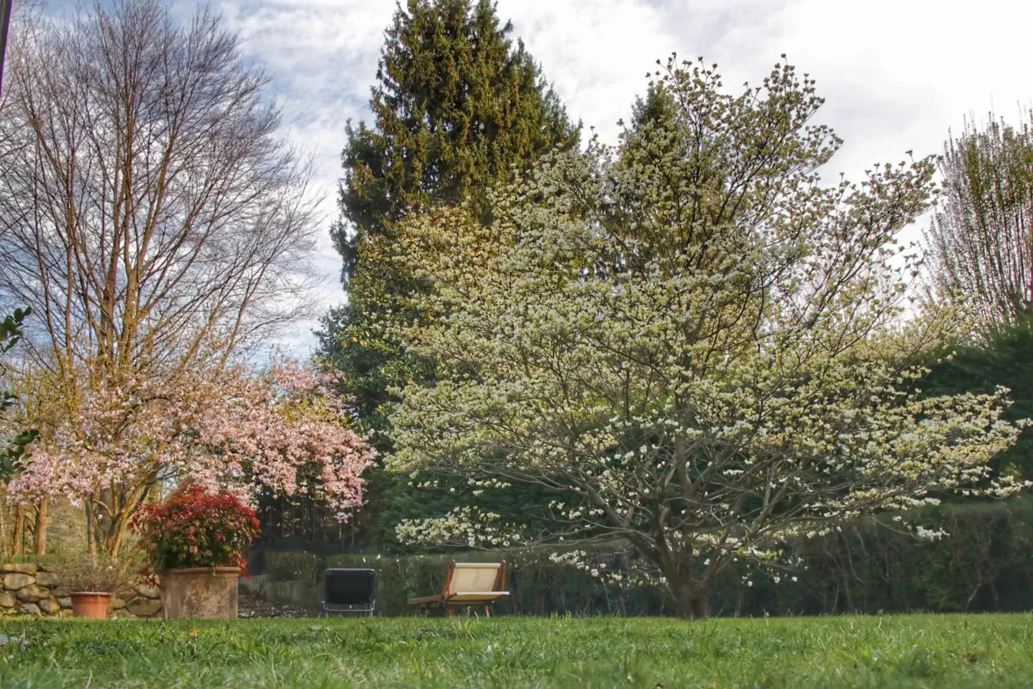 Garden in b&b le magnolie