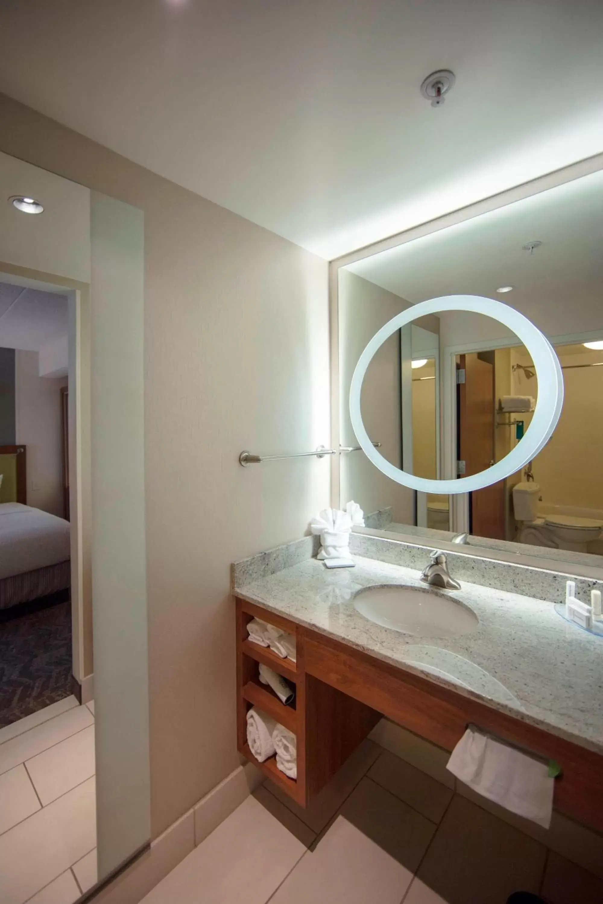 Bathroom in SpringHill Suites by Marriott Athens West