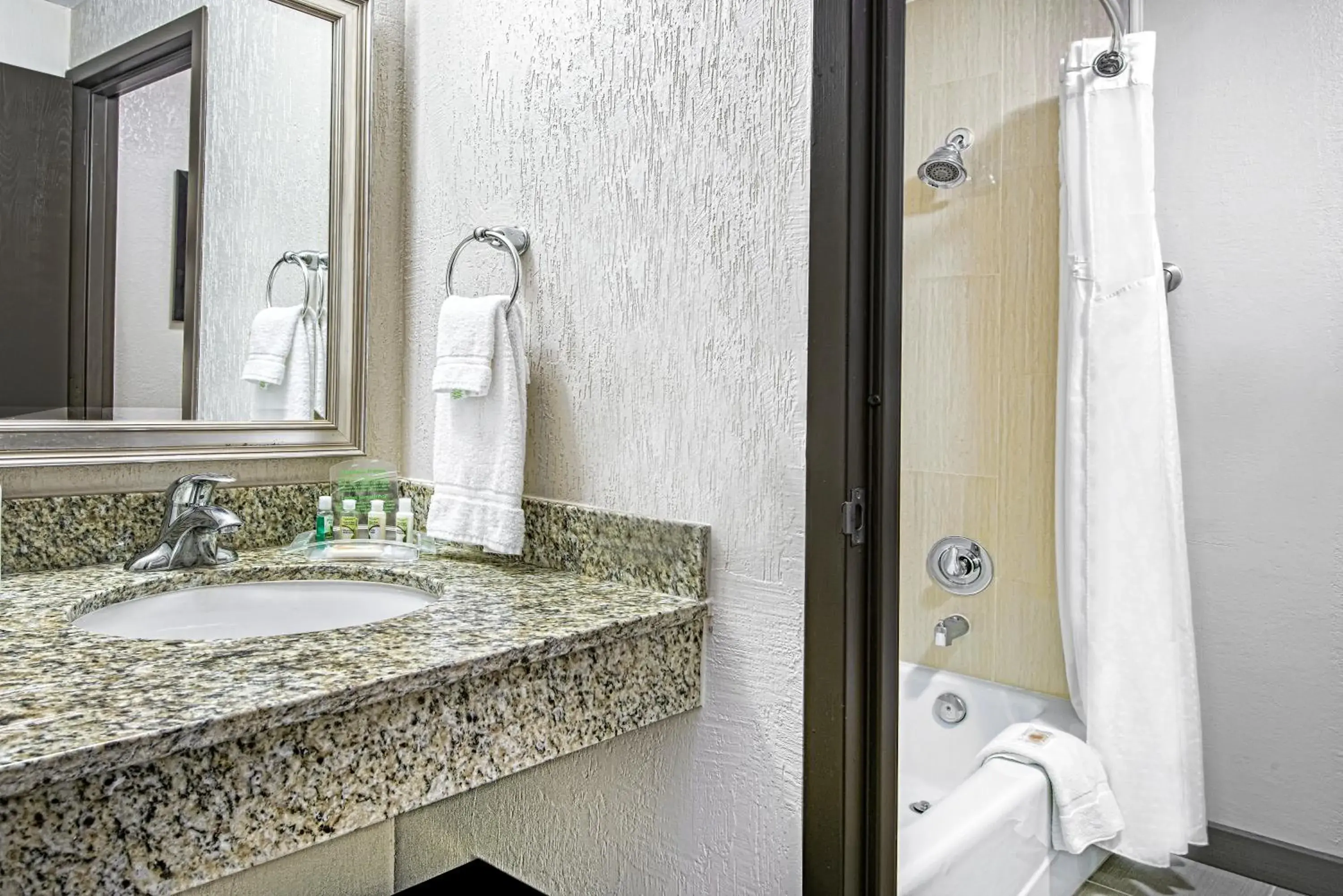 Shower, Bathroom in Holiday Inn Houston SW-Near Sugar Land