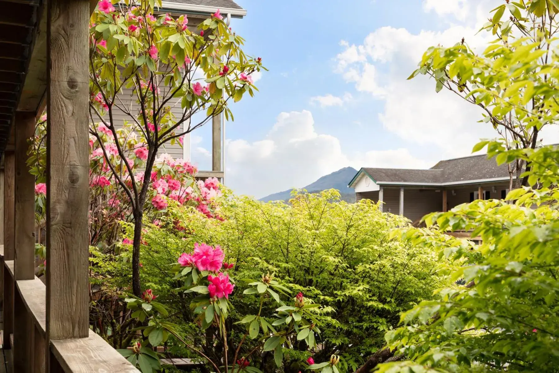 Garden view, Property Building in The Ketch Inn