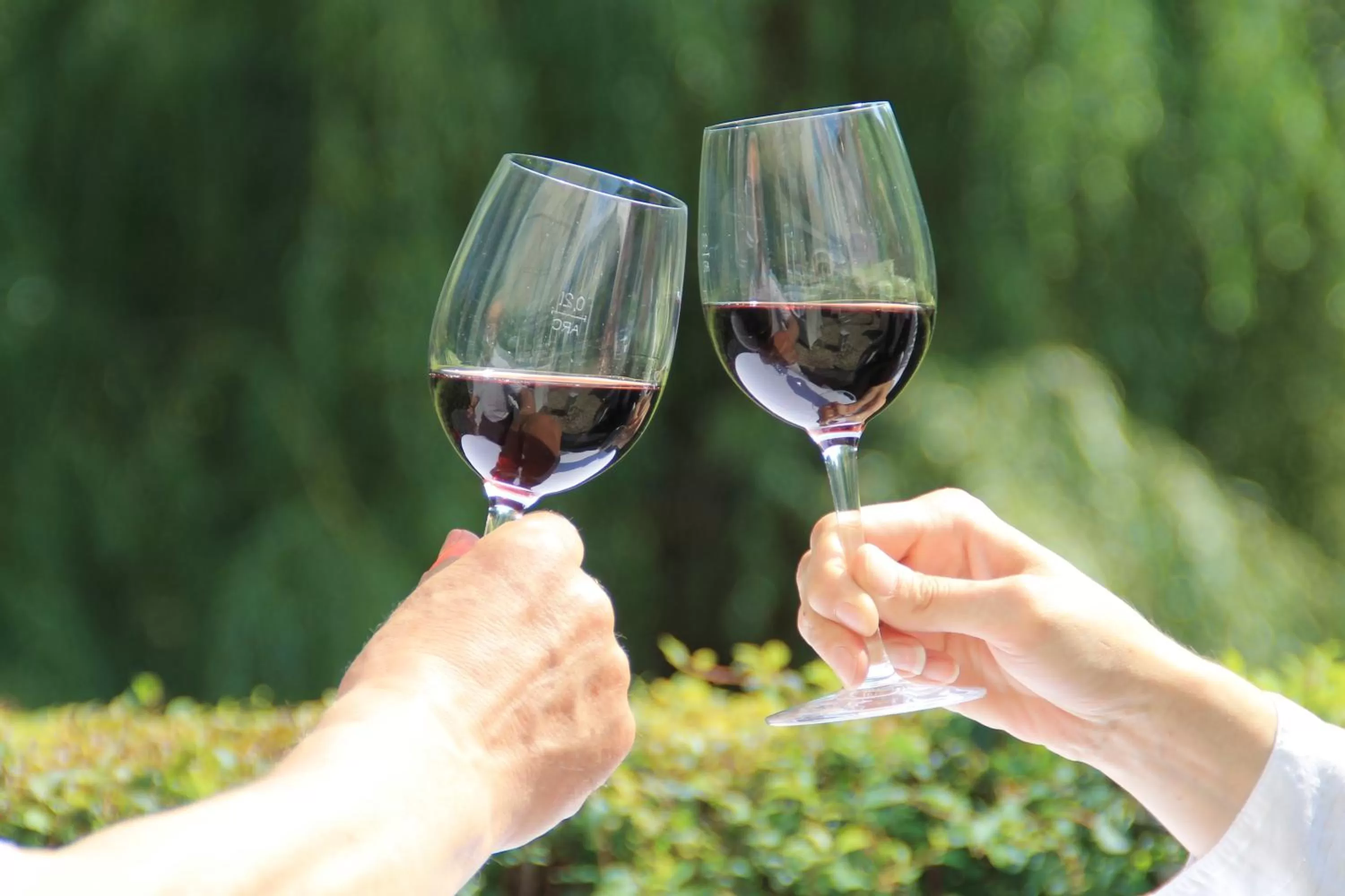 Restaurant/places to eat in Hotel Forsthaus