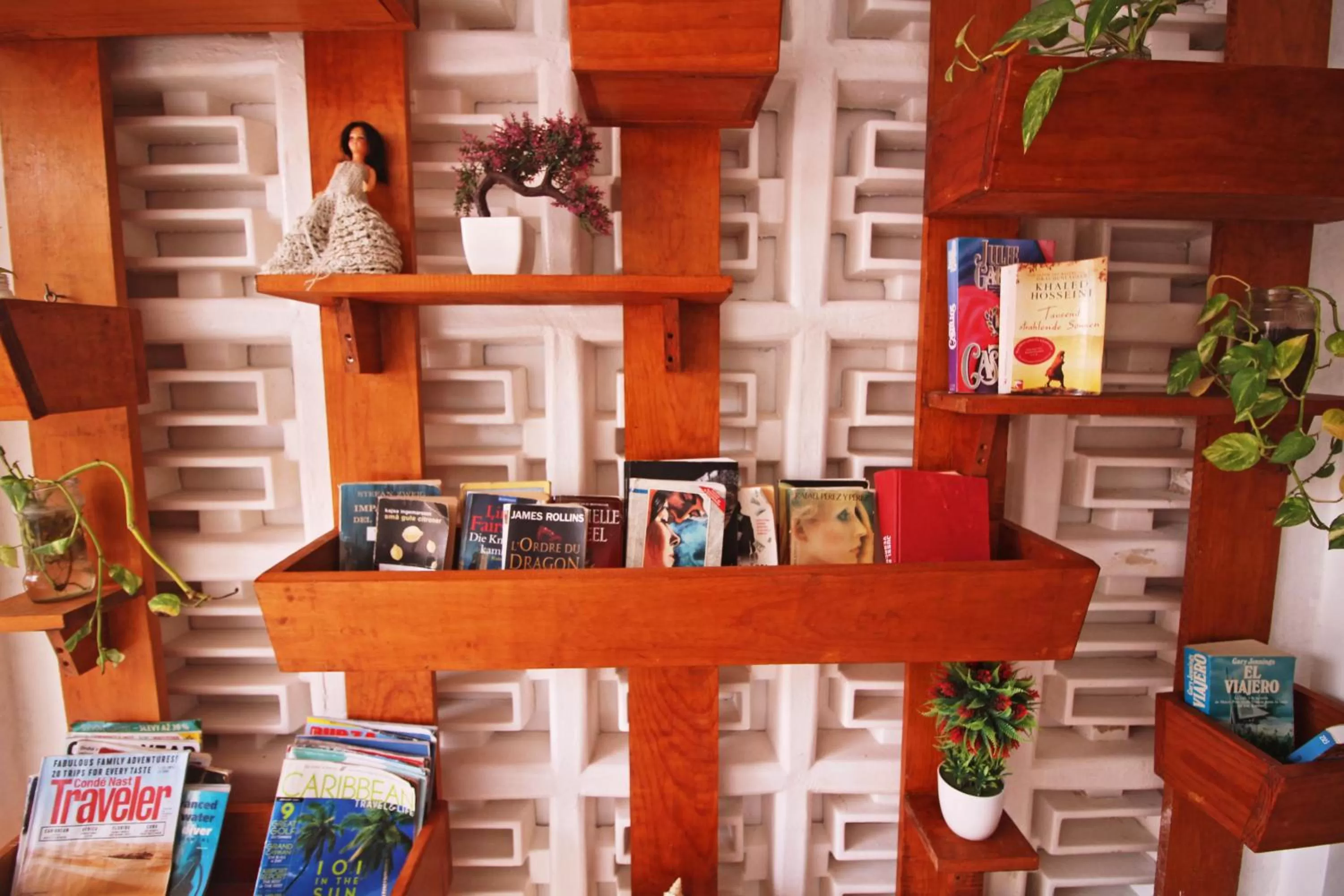 Library in Hotel Mary Carmen