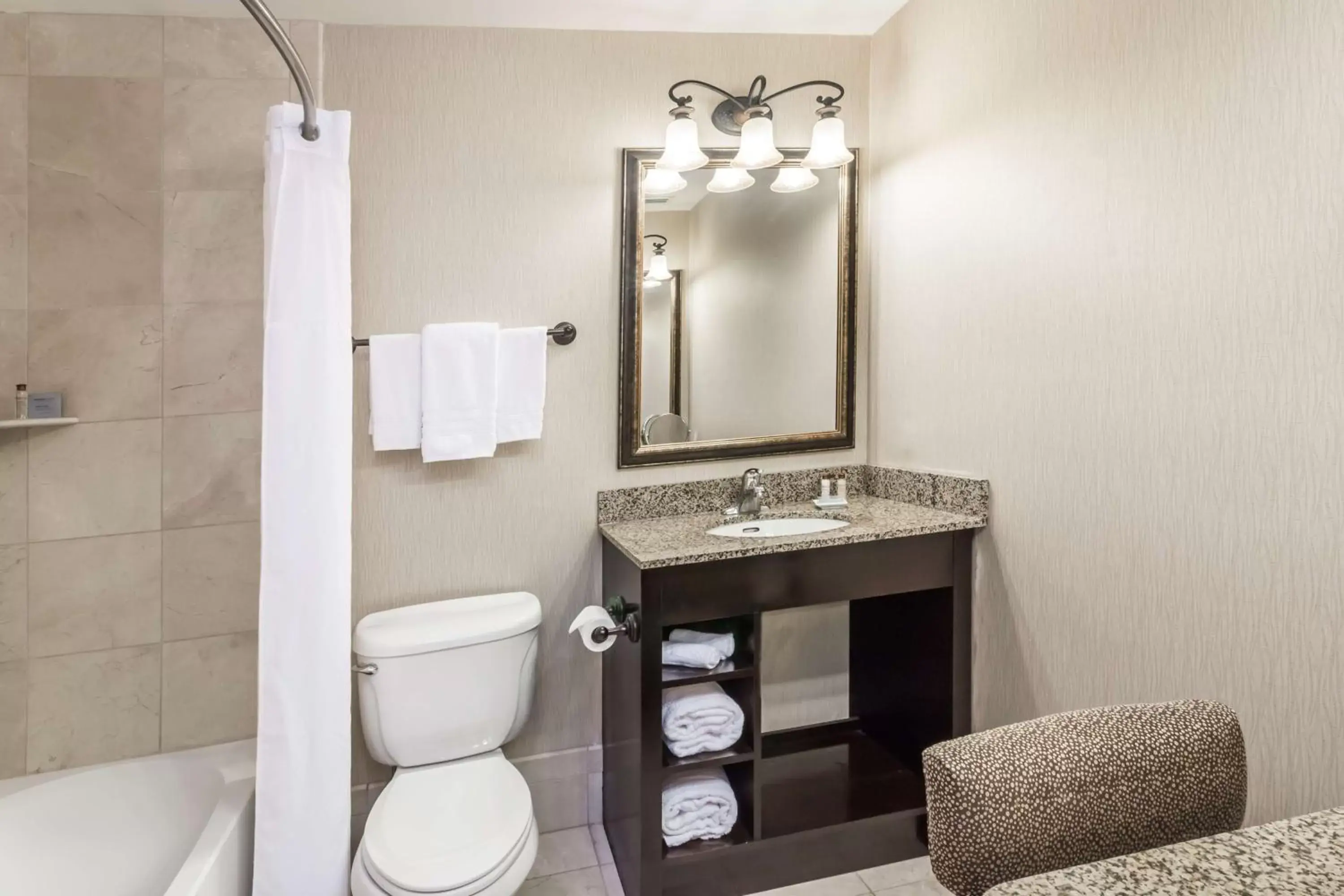 Toilet, Bathroom in Hawthorn Suites by Wyndham West Palm Beach