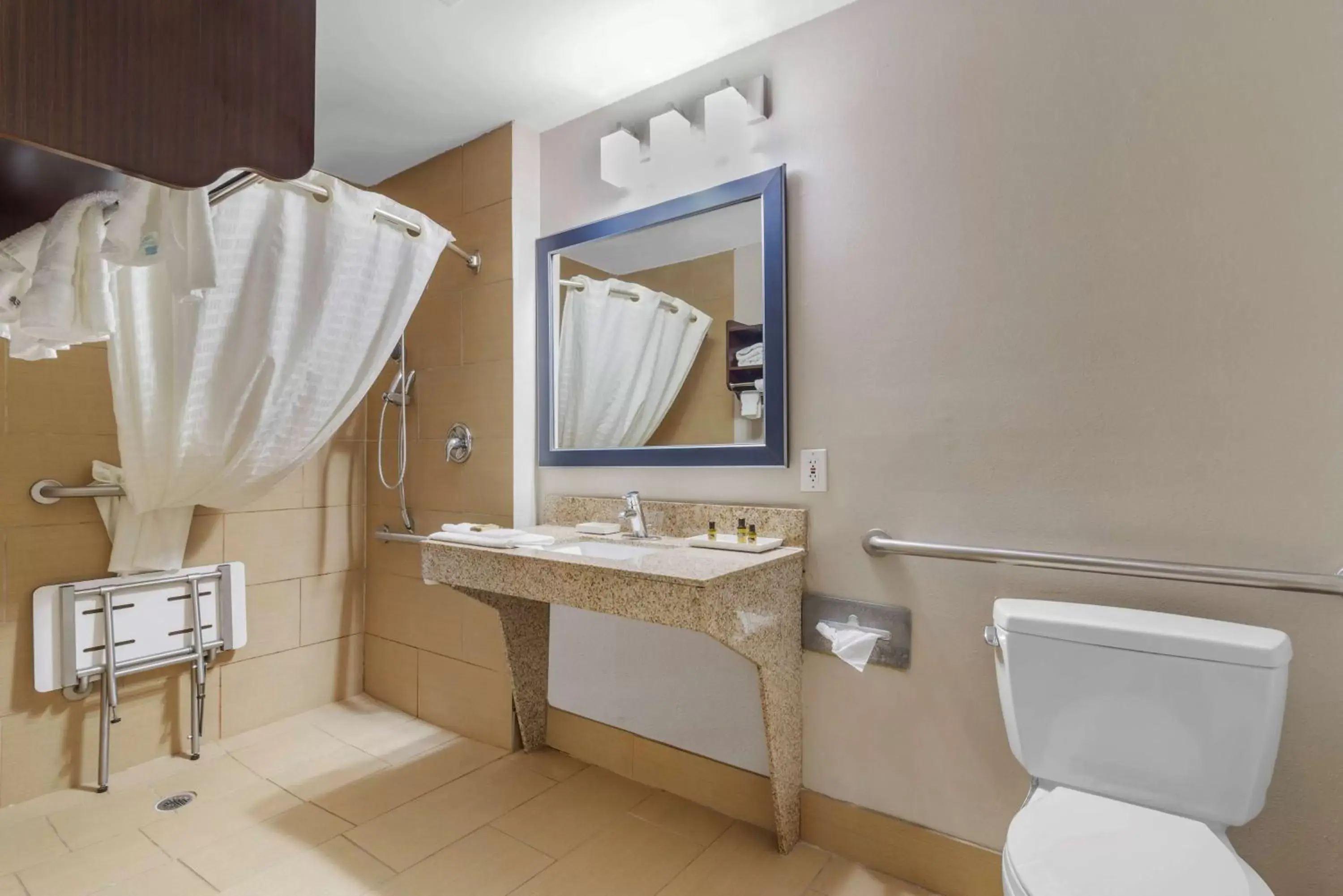 Bathroom in Best Western Plus McDonough Inn & Suites