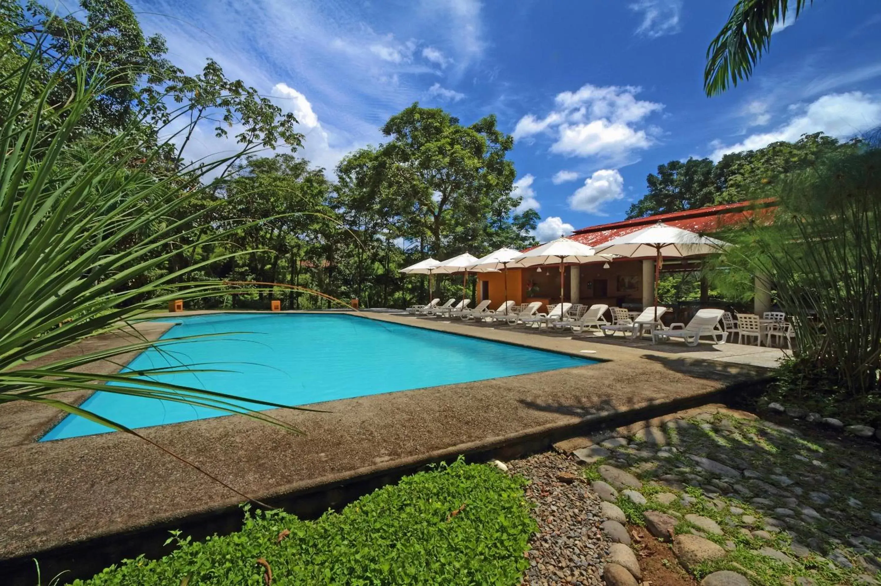 Pool view, Swimming Pool in Argovia Finca Resort