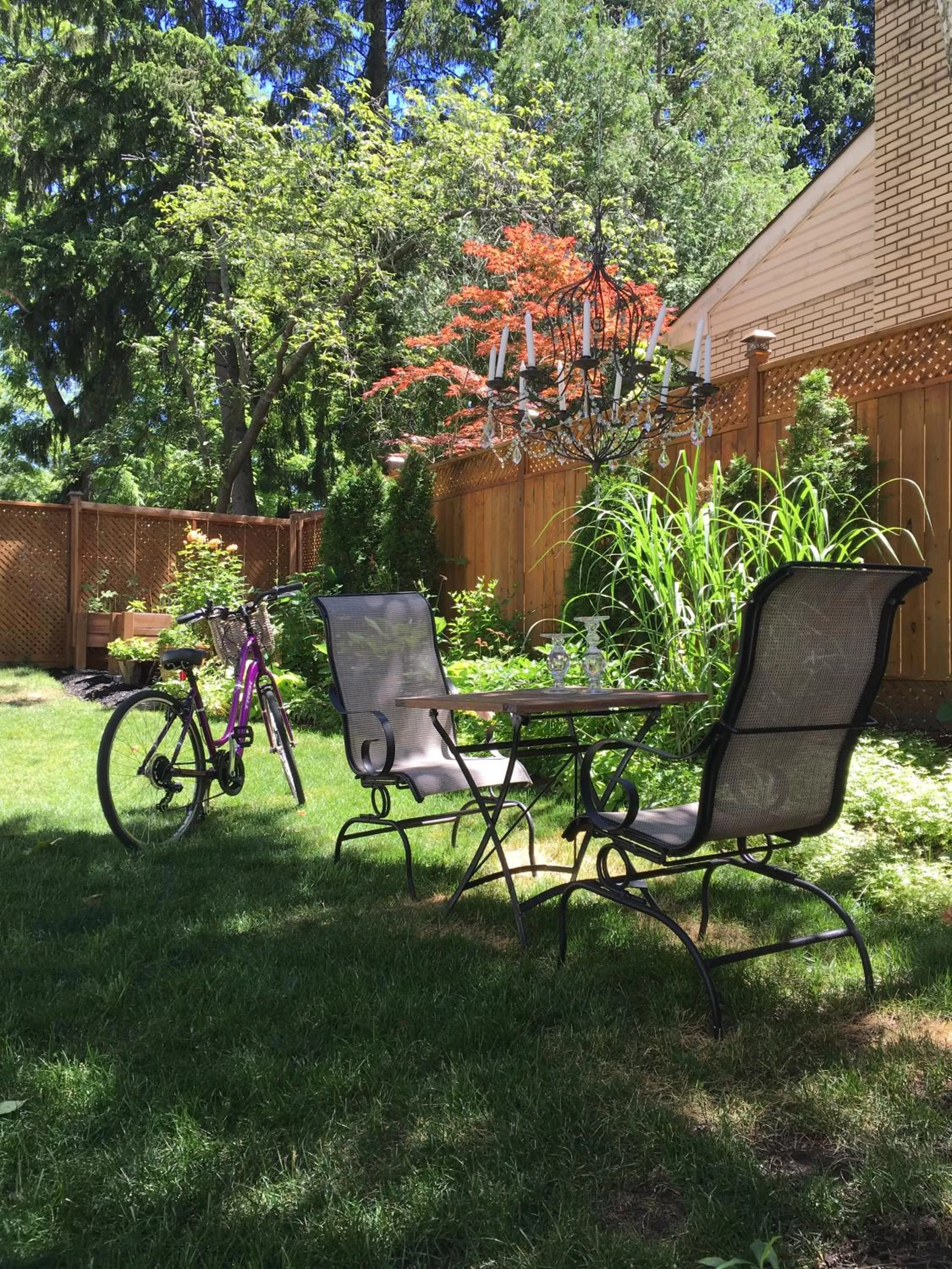 Garden in Darlington House Bed and Breakfast