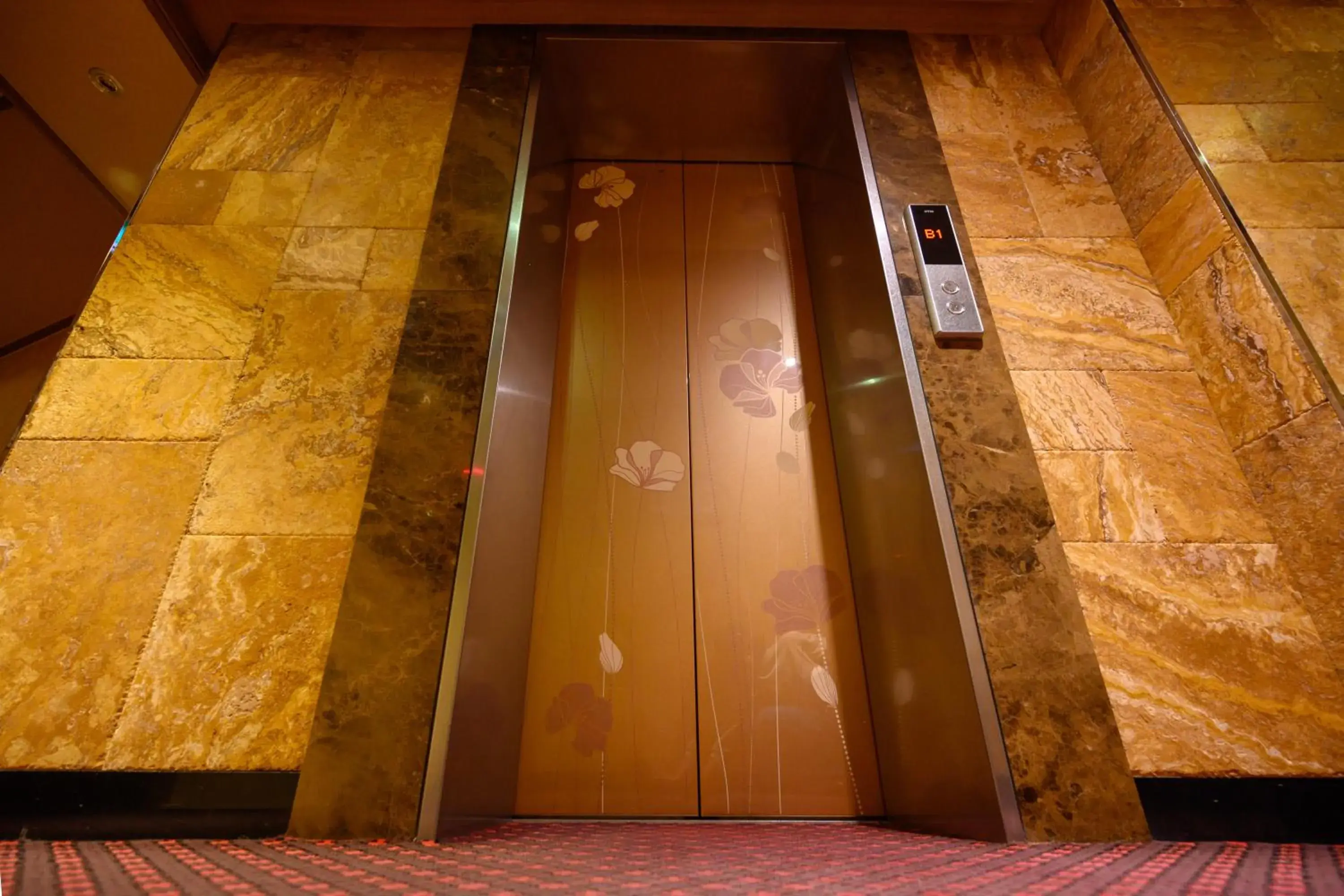 elevator in Daeyoung Hotel Myeongdong