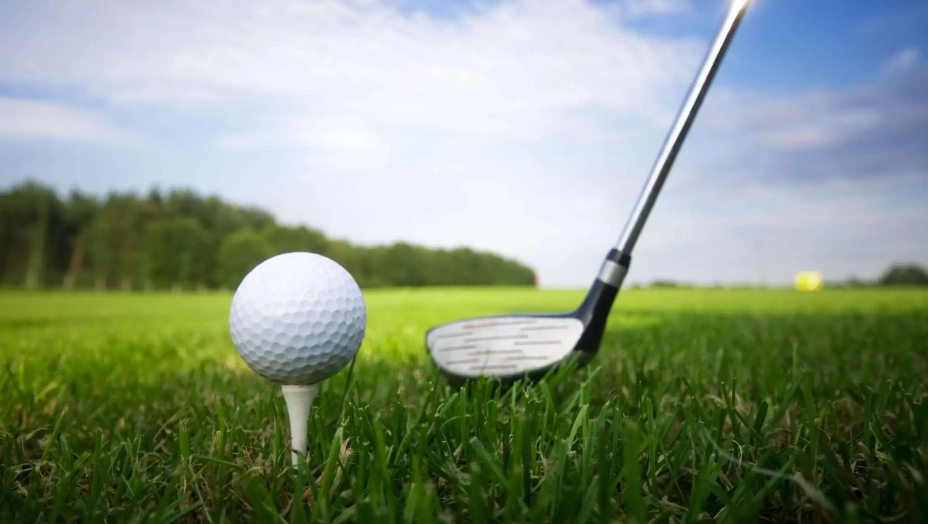 Area and facilities, Golf in Traveller's Inn Prince Edward Island