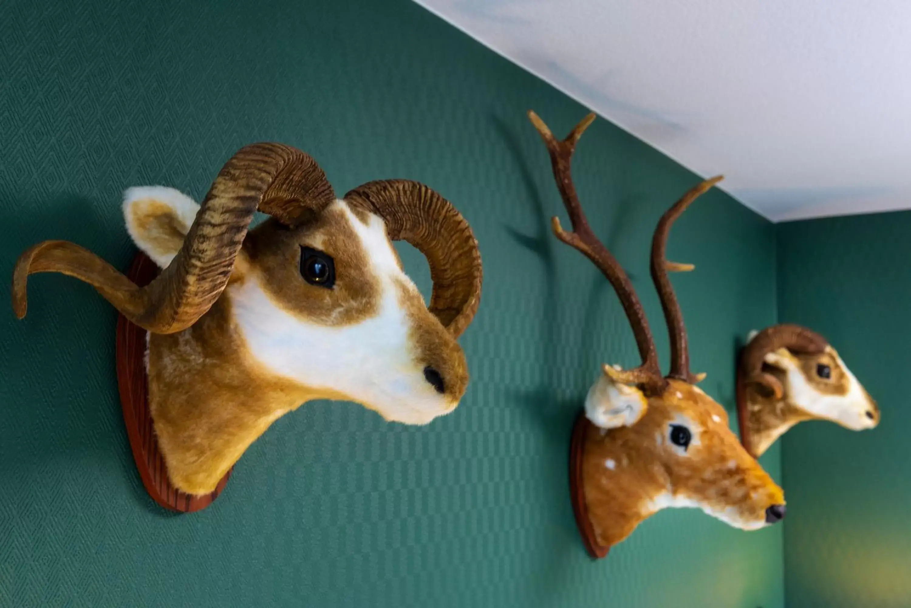 Decorative detail, Other Animals in Wyndham Garden Donaueschingen