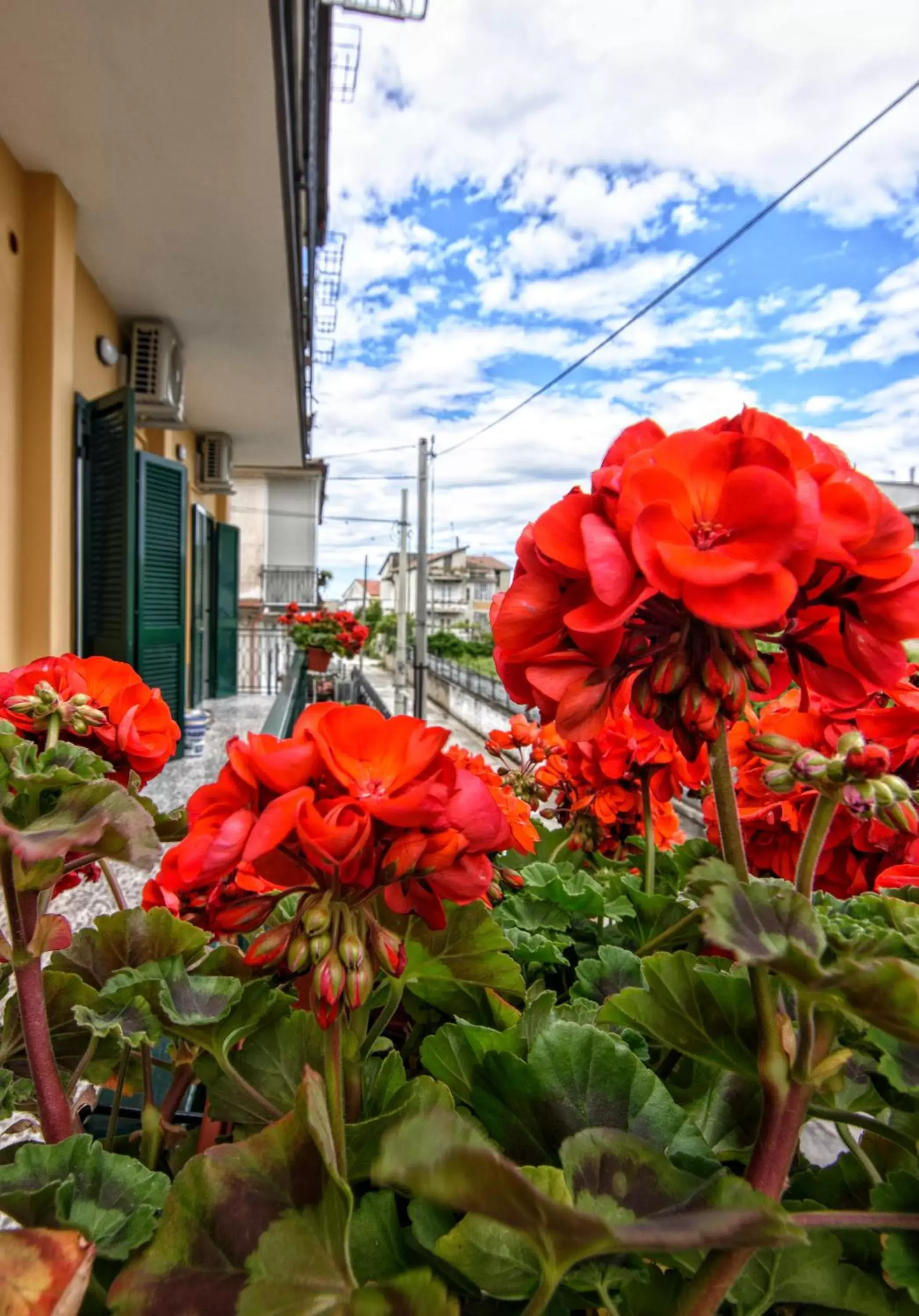 Balcony/Terrace in B&B Grazia