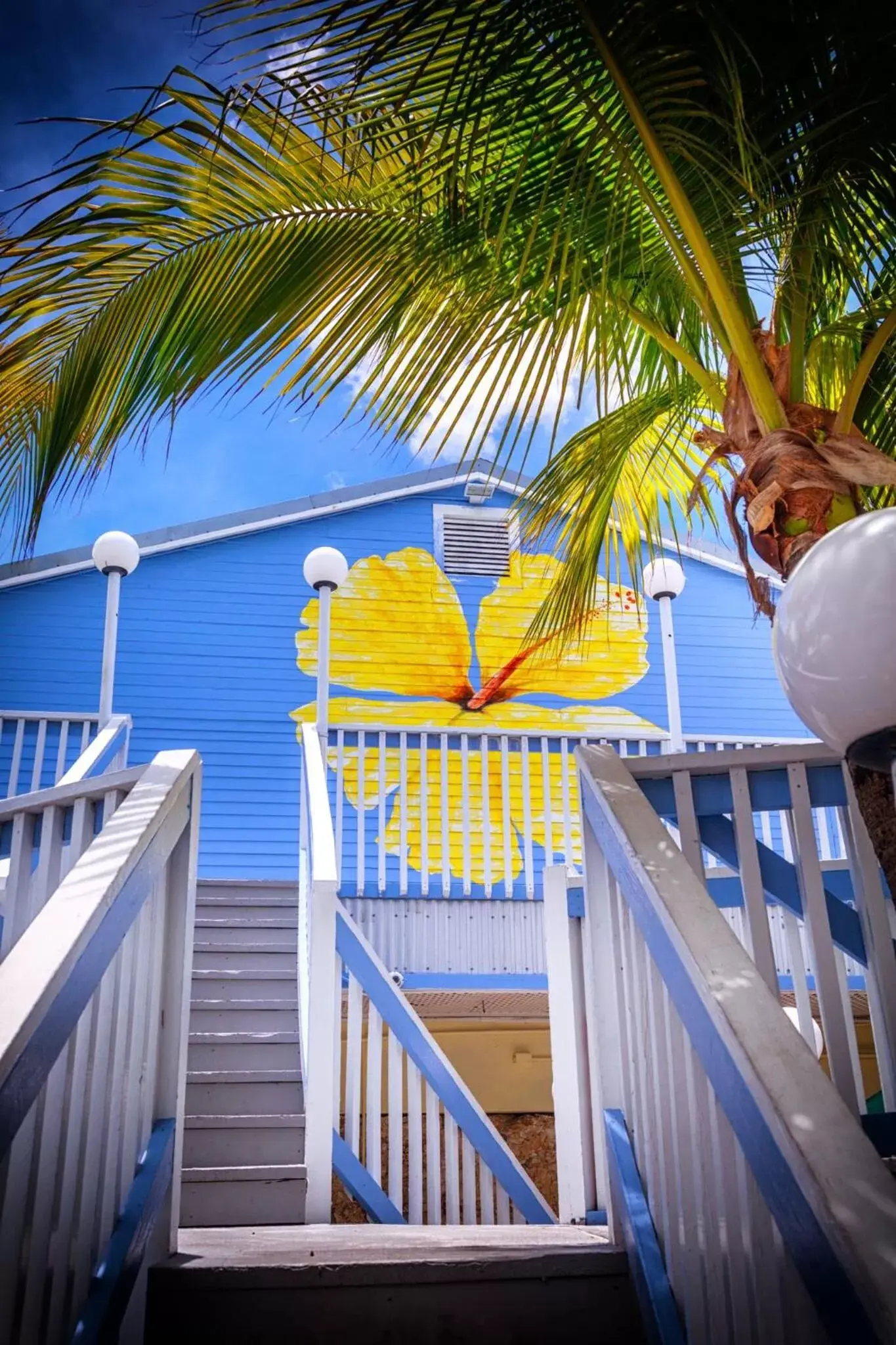 Property building in Ibis Bay Resort