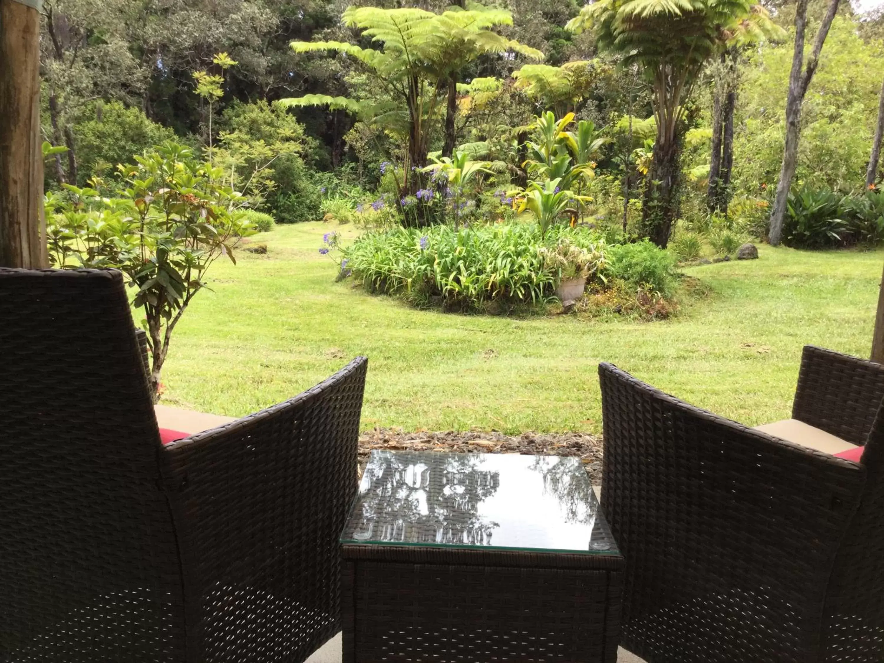 Patio in Hale 'Ohu Bed & Breakfast