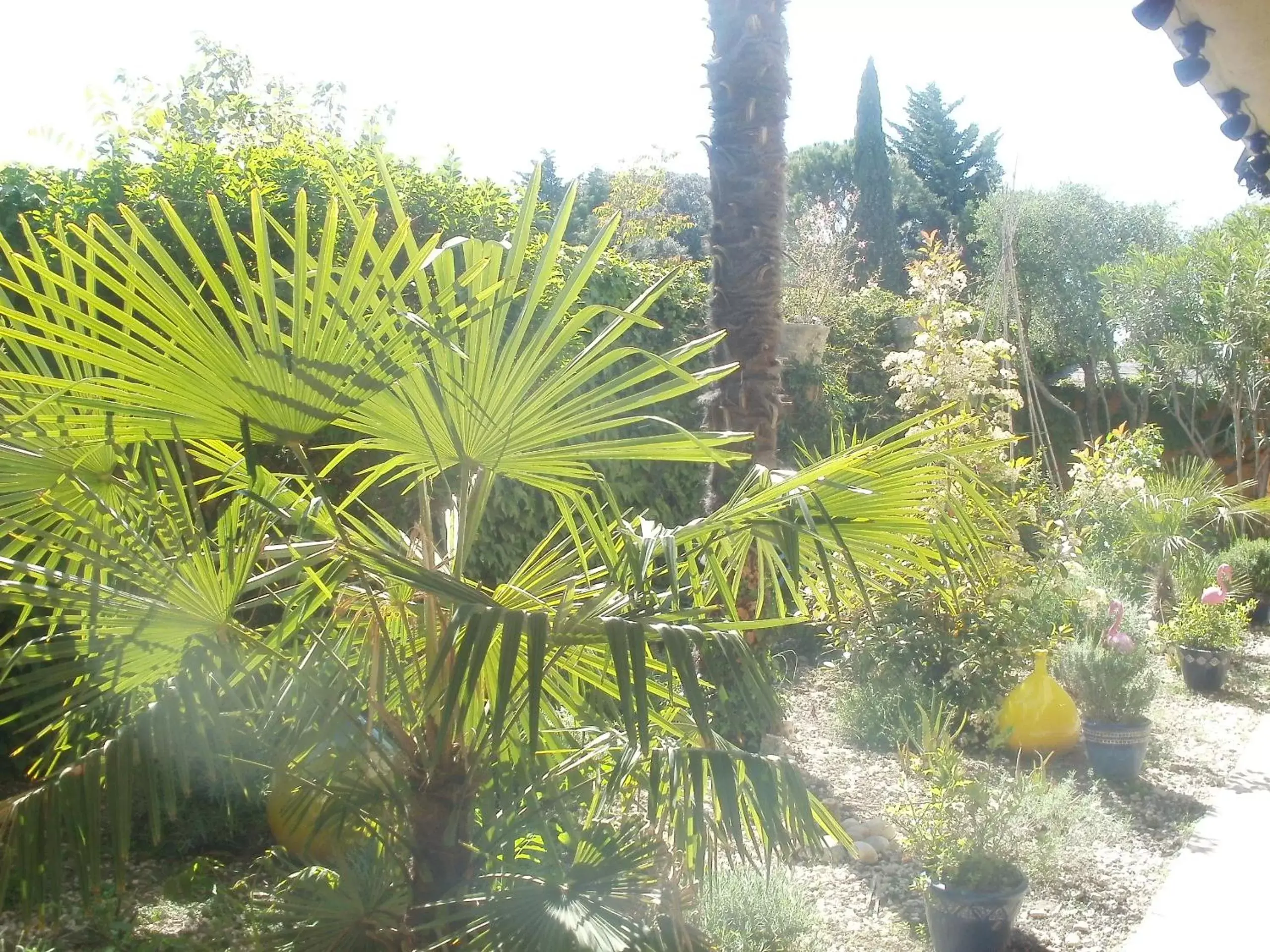 Garden view, Garden in Hôtel du Tricastin