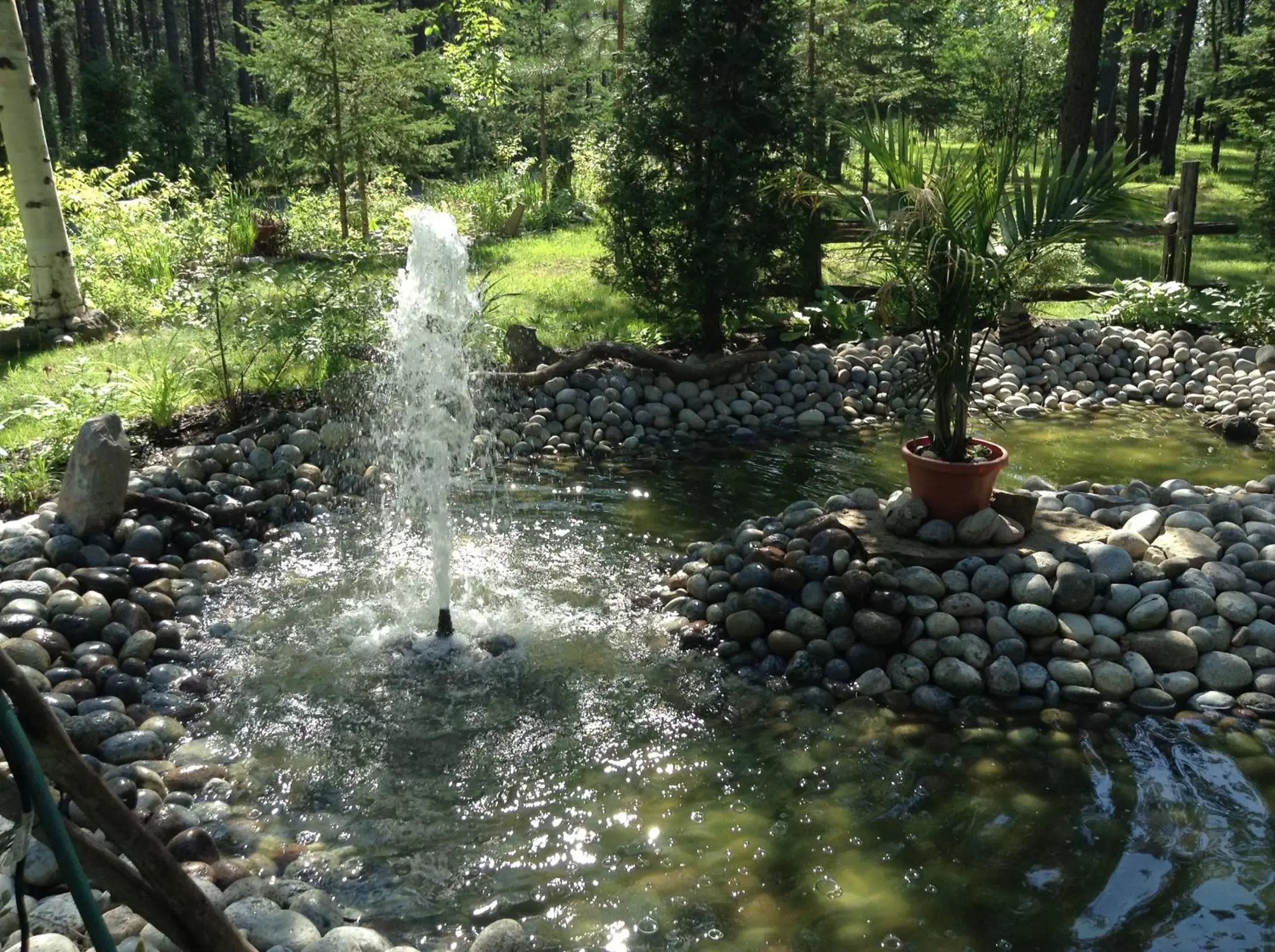 Garden in Gite du Lac Docteur