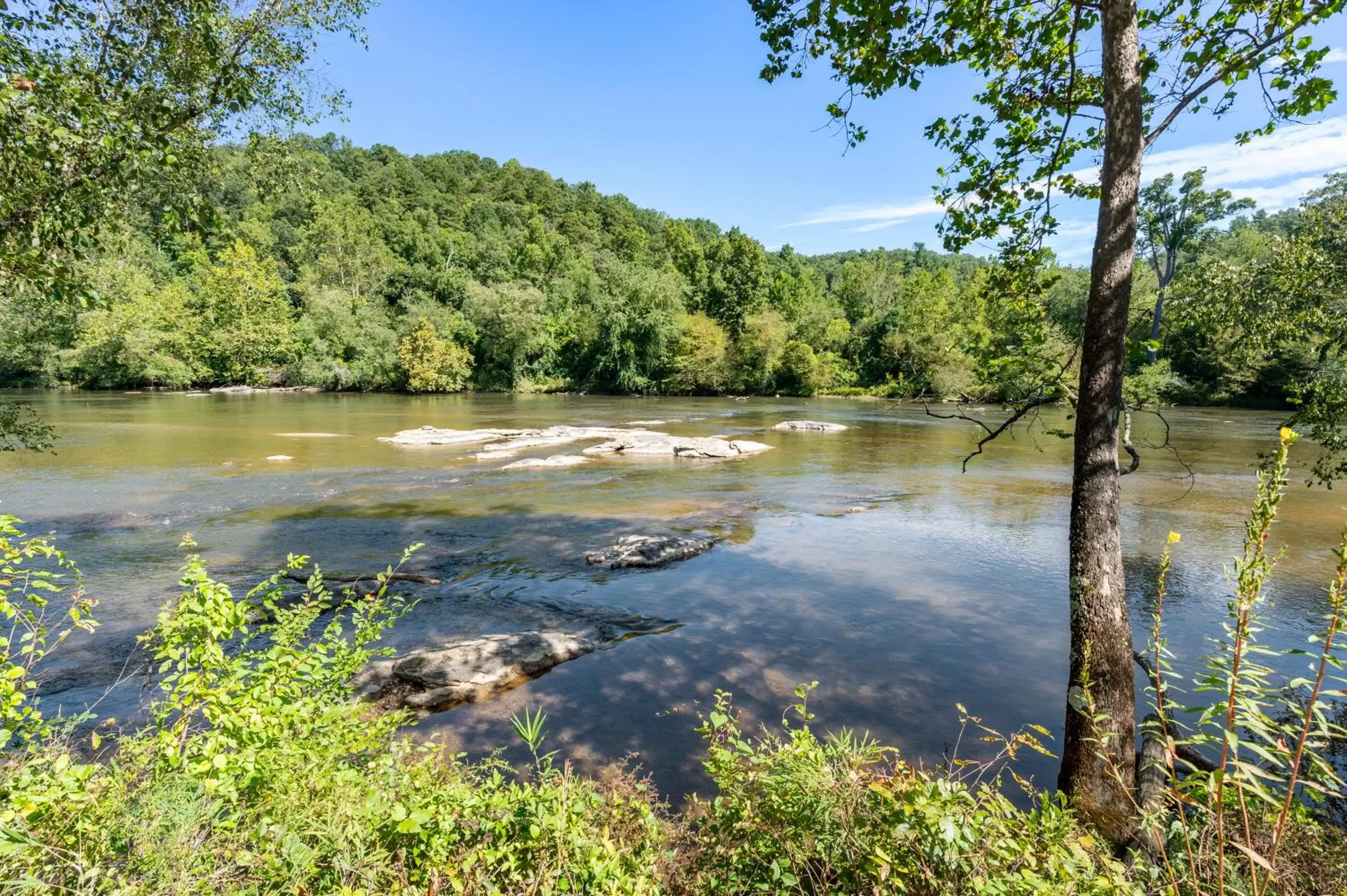 Natural landscape in Asheville River Cabins